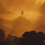 Sunrise in the Cameron Highlands - part of a 3 week itinerary of Malaysia