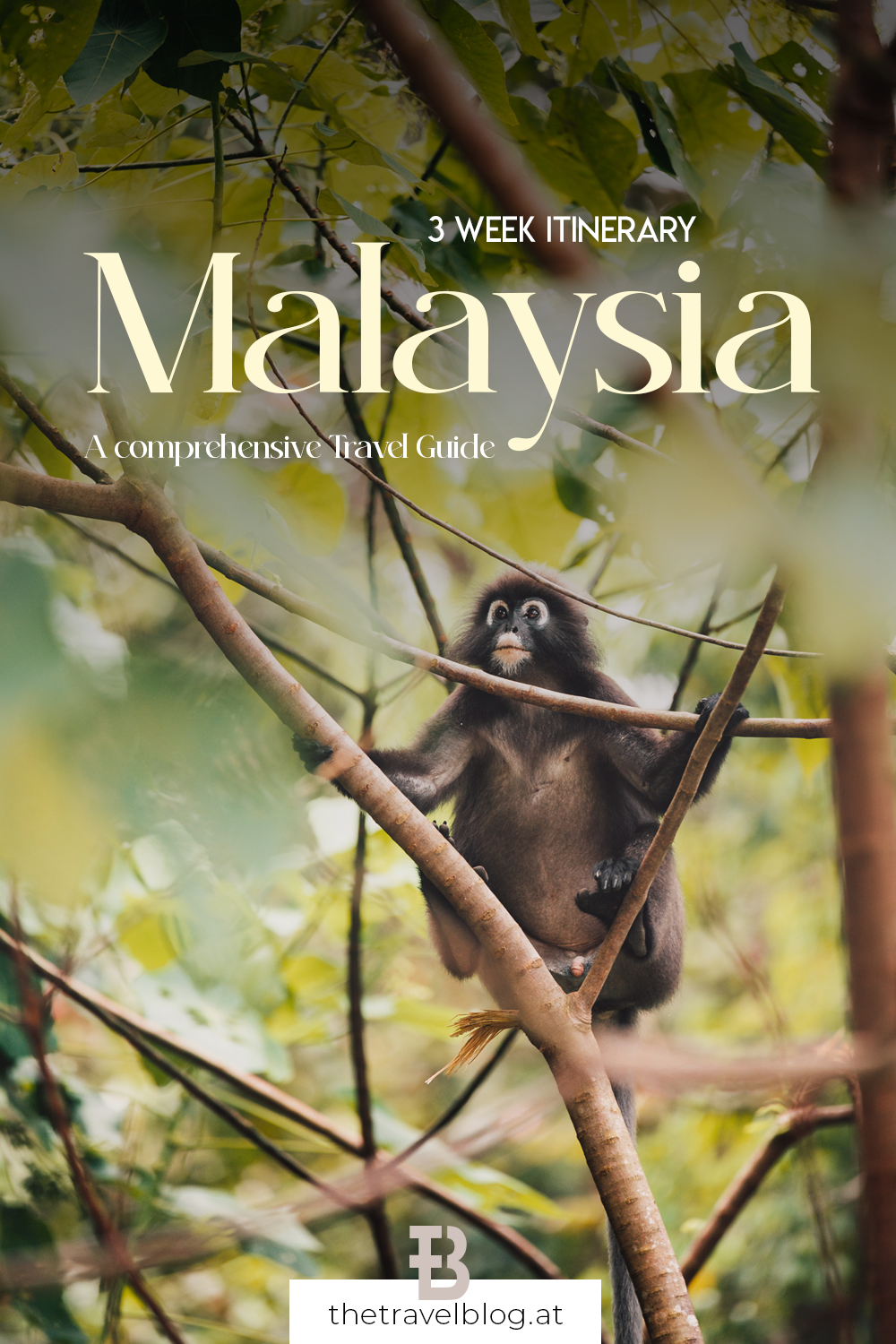 3 week Malaysia itinerary and travel guide covering Desaru Coast, Kuala Lumpur, Cameron Highlands, George Town Penang and Langkawi