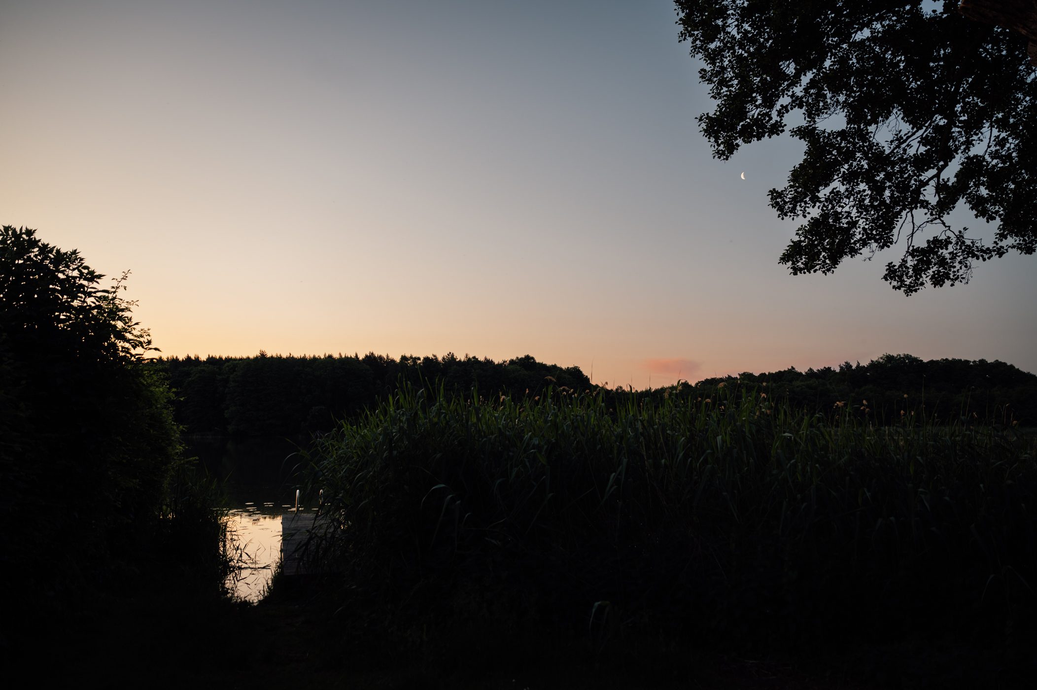 Sunrise at Oberpfuhl lake in Uckermark, Brandenburg (Germany)