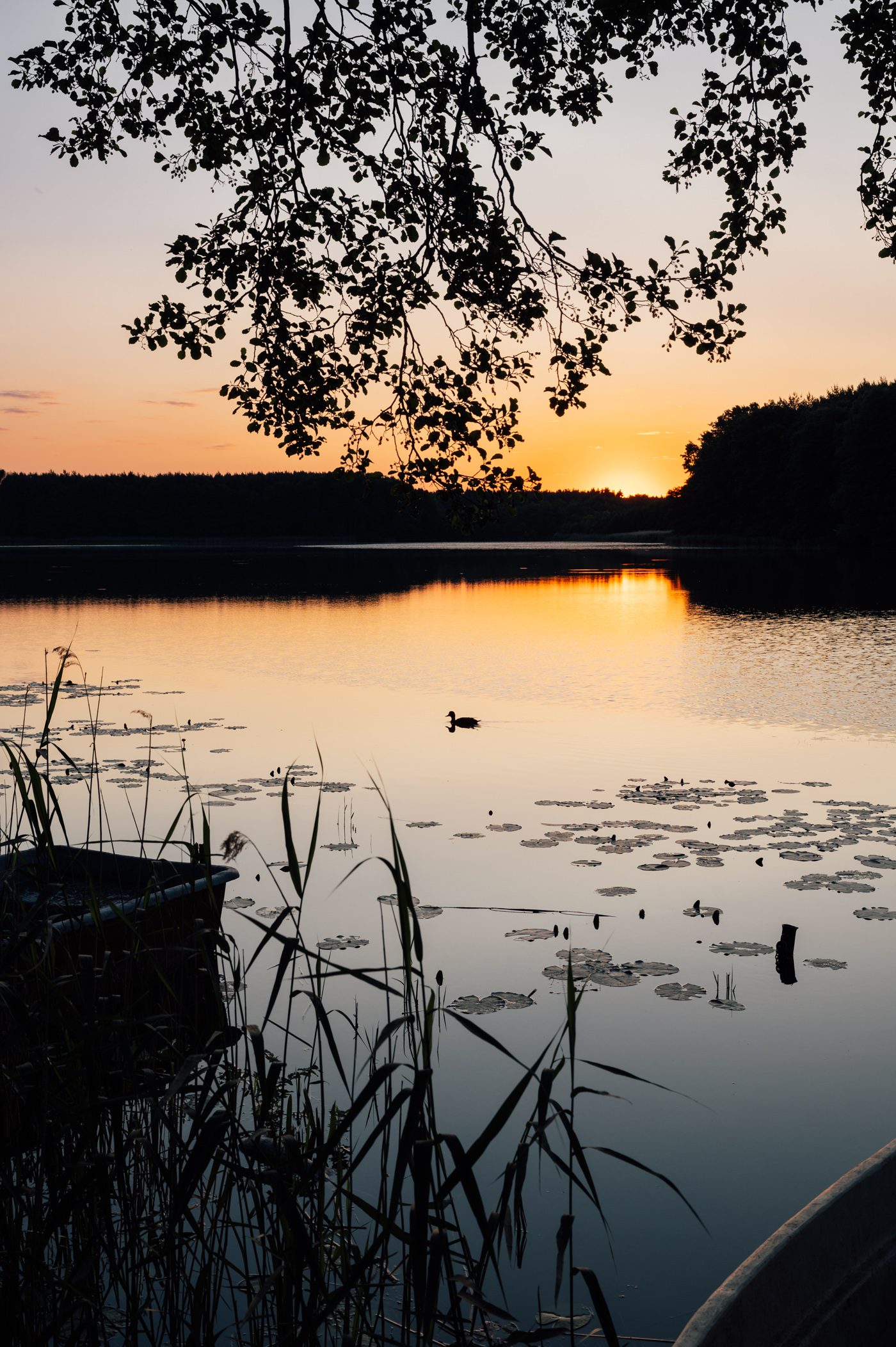 Sunrise at Oberpfuhl lake in Uckermark, Brandenburg (Germany)