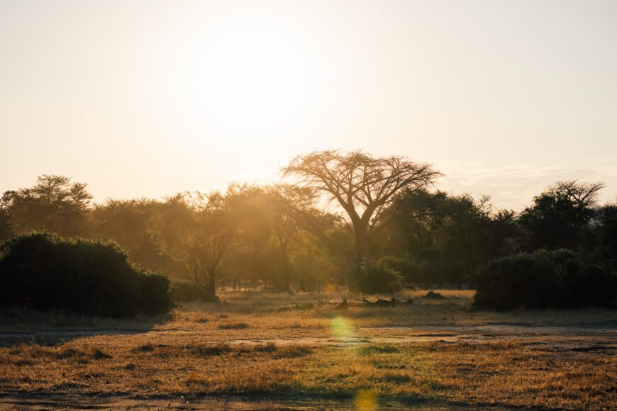 Zambia: On safari in the Lower Zambezi National Park – THETRAVELBLOG.at