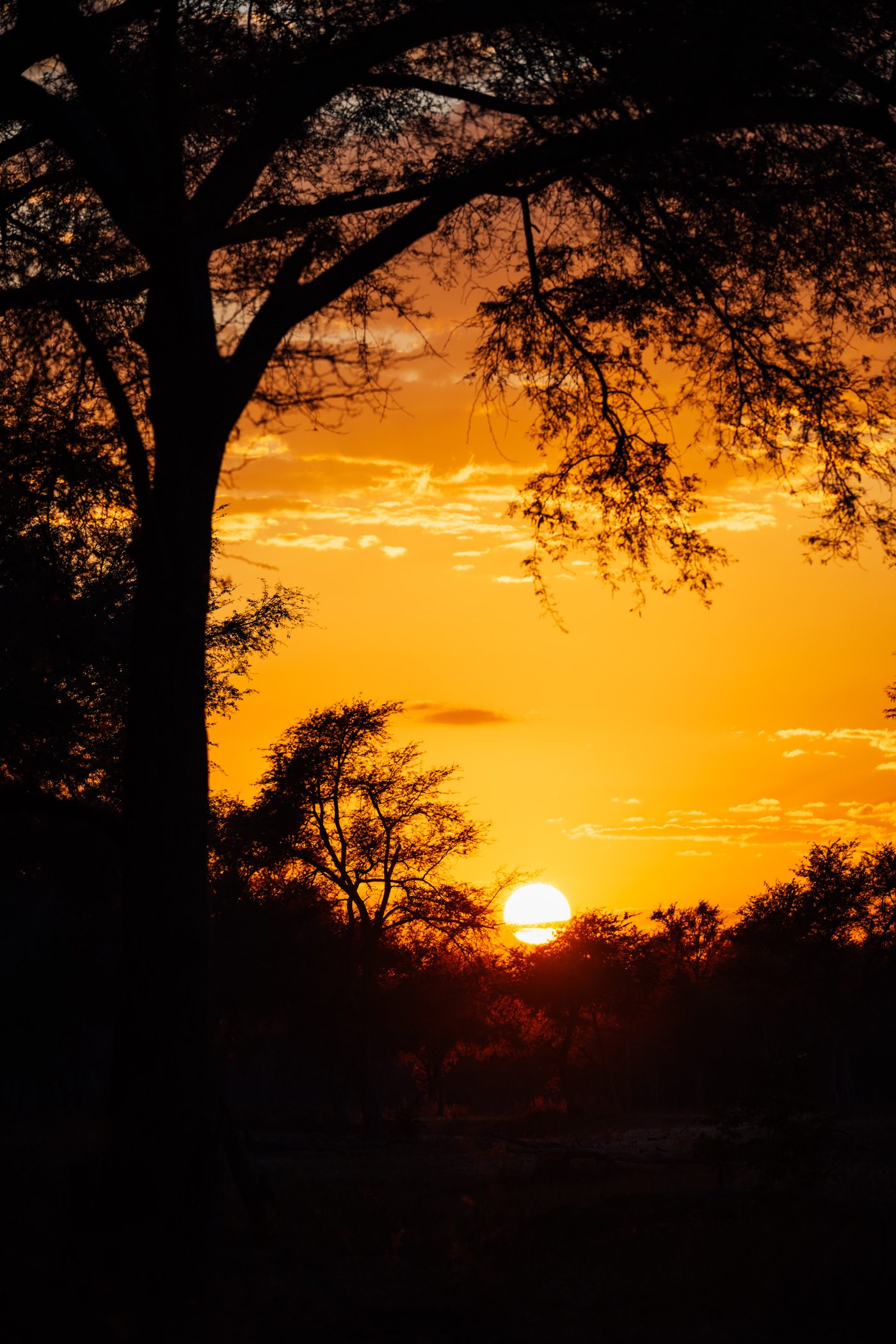 Sunrise in Lower Zambezi National Park in Zambia