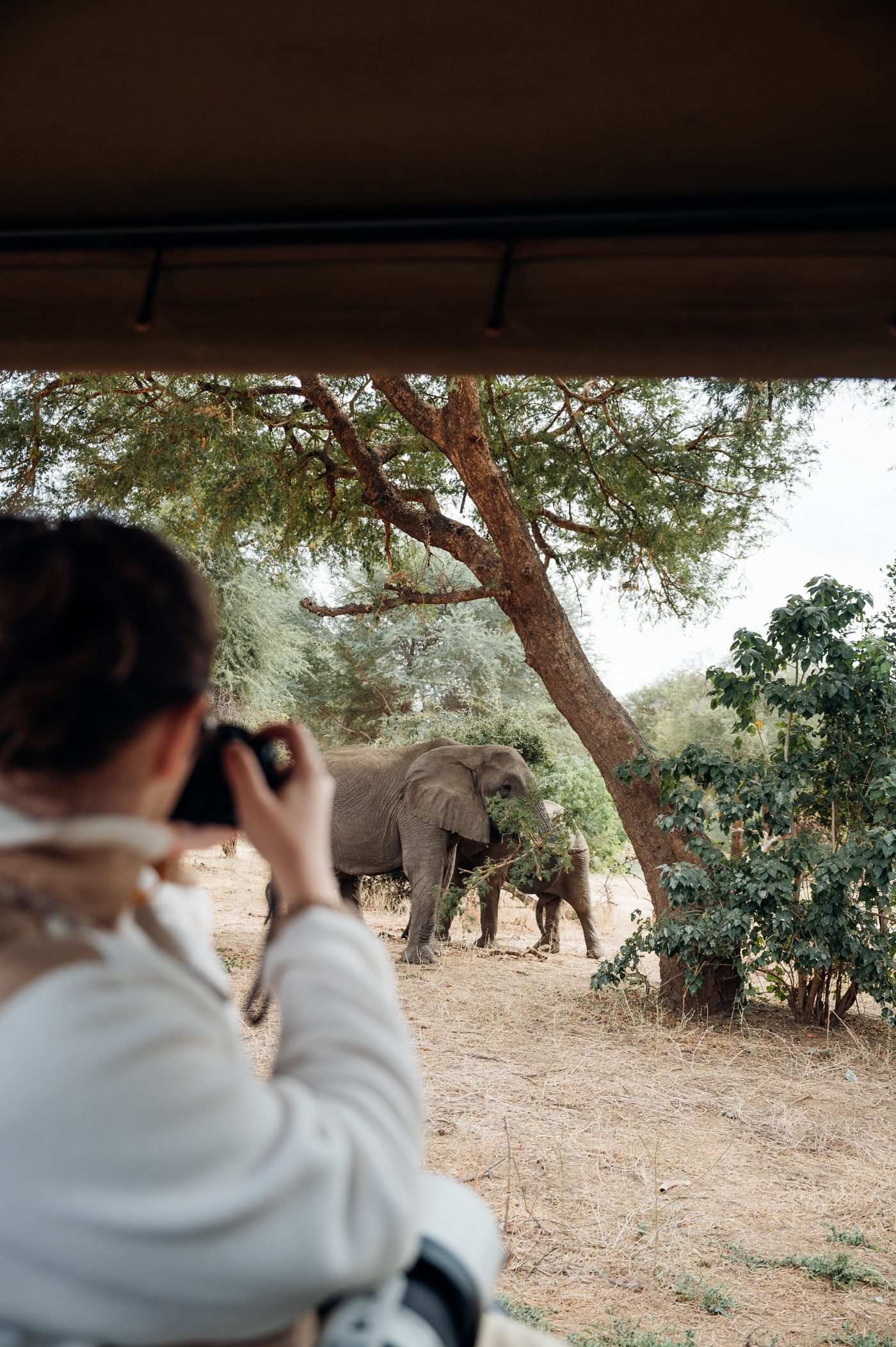 Elephant sighting during a game drive at Kutali Camp by Classic Zambia in Lower Zambezi National Park in Zambia