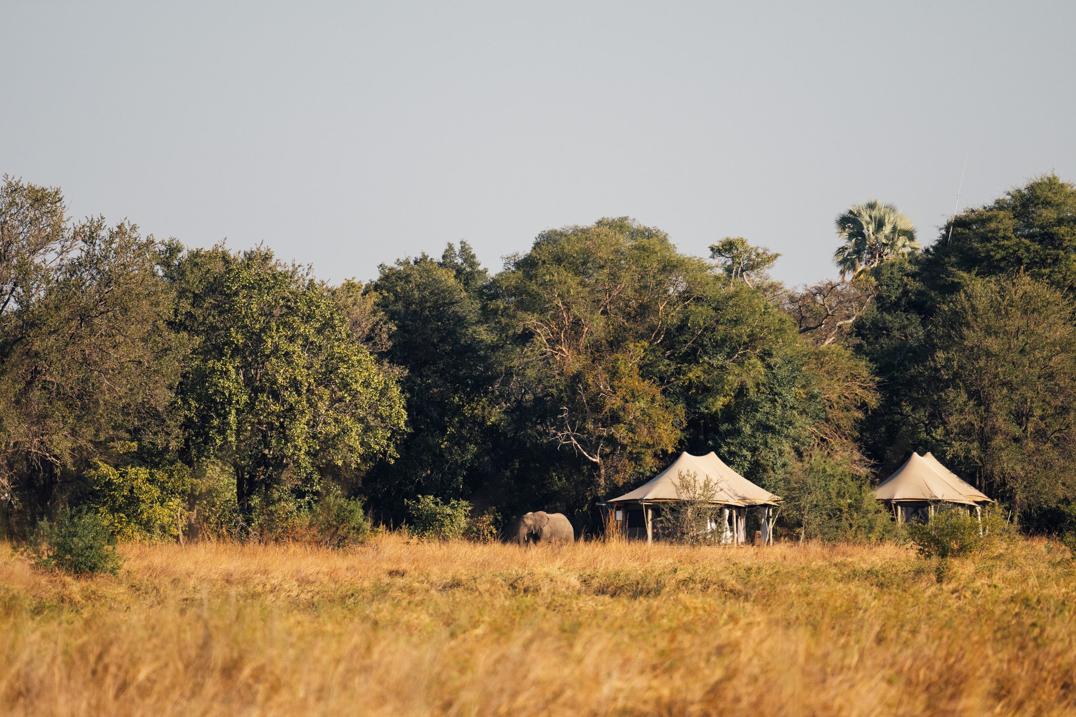 On safari at Musekese Camp in Kafue National Park Zambia