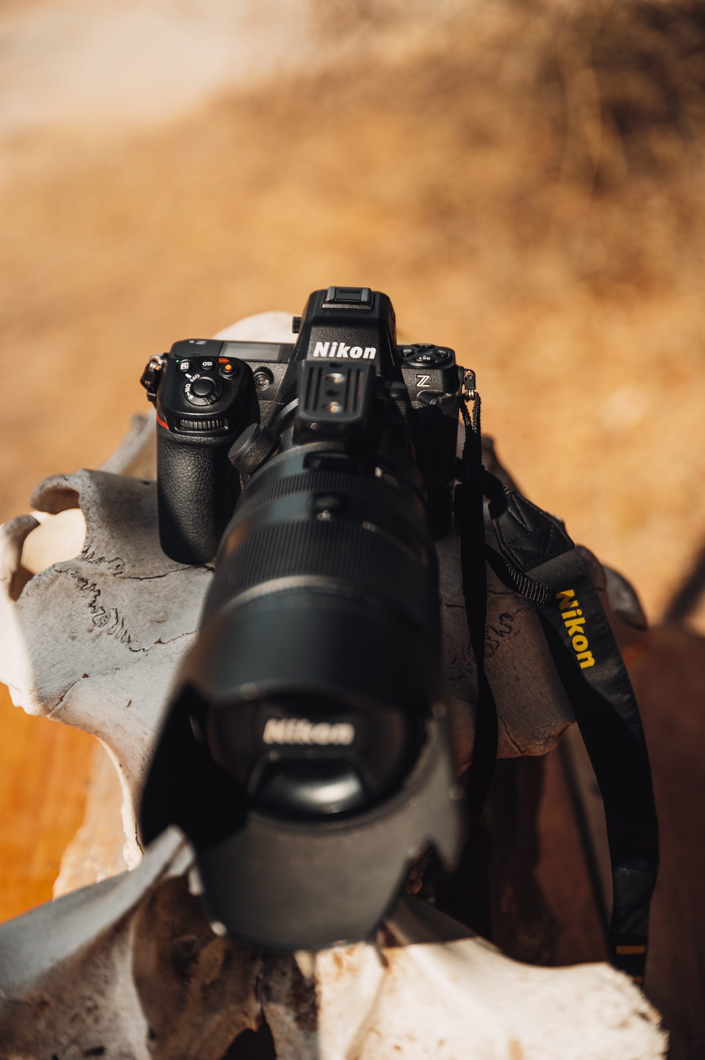 Nikon Z 8 and a 100-400mm tele zoom lens - camera recommendation for a safari