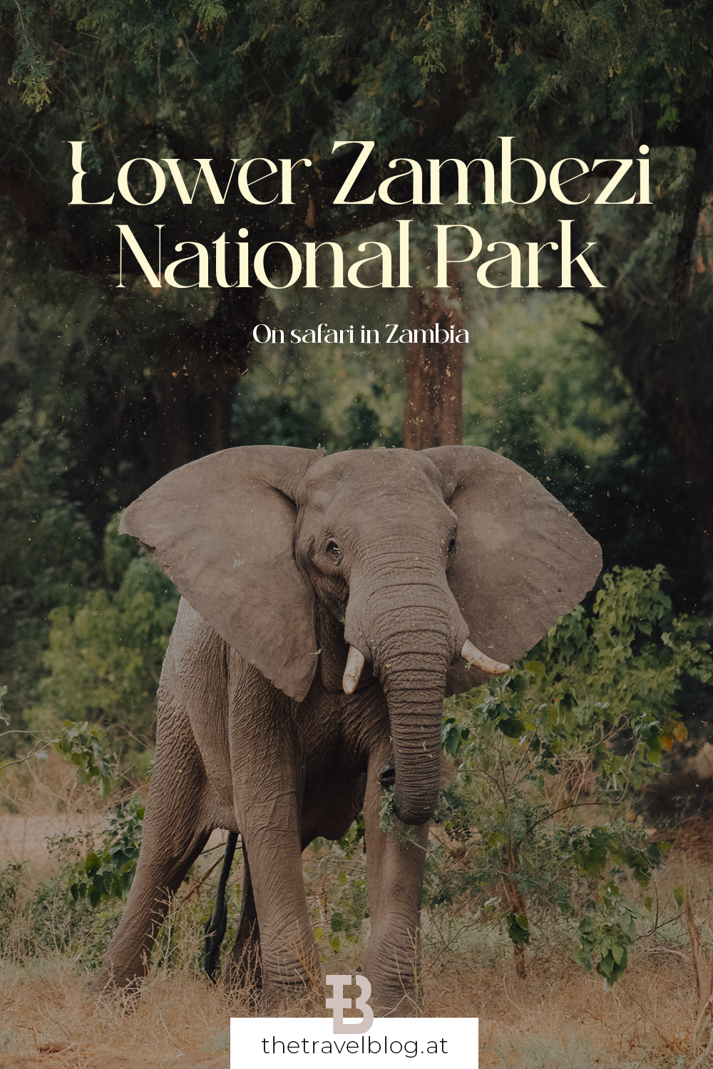 Travel Guide for a safari in Lower Zambezi National Park in Zambia