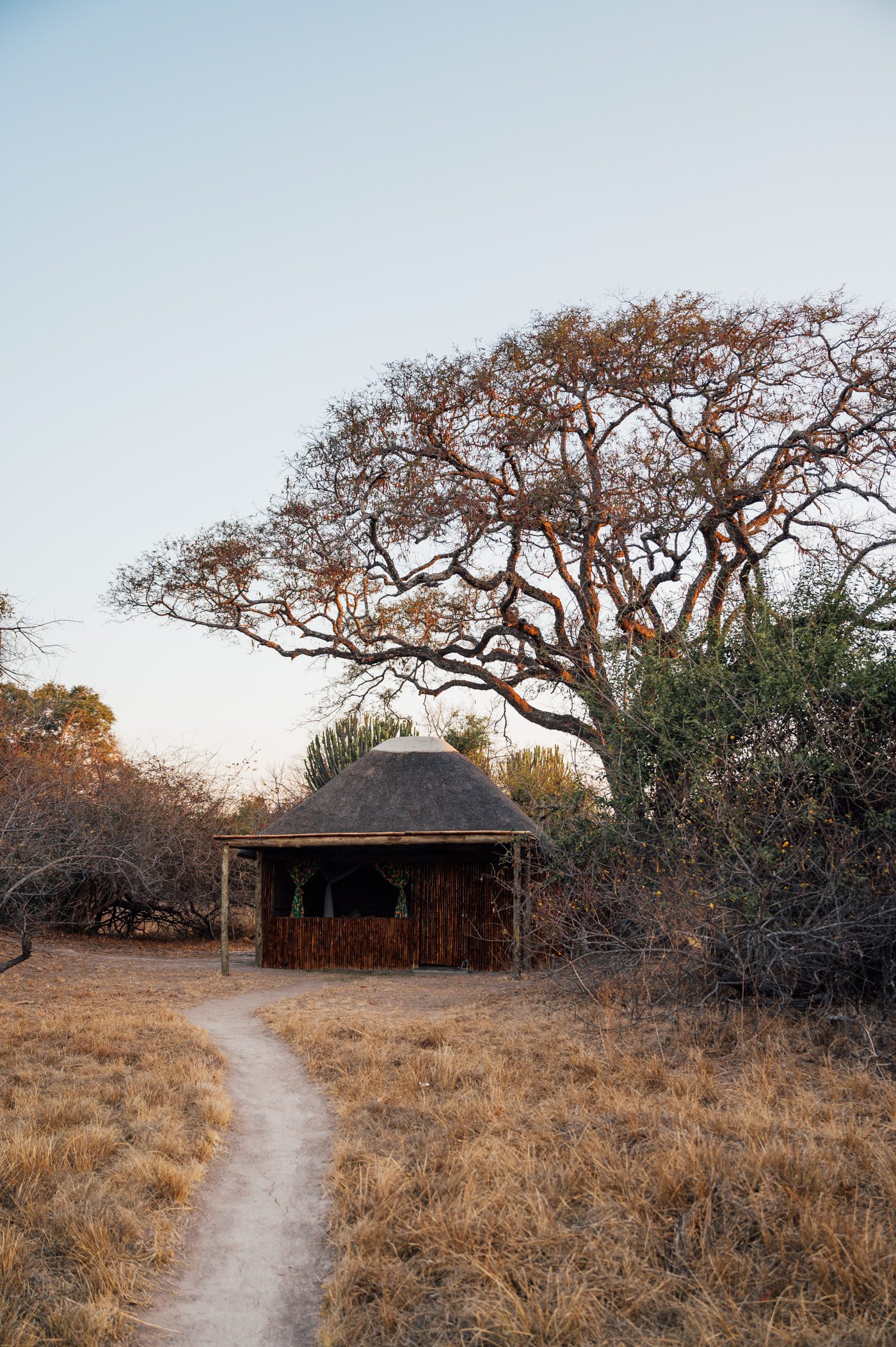 Ntemwa Busanga Camp by Classic Zambia - located at Busanga Plains in Kafue National Park in Zambia 
