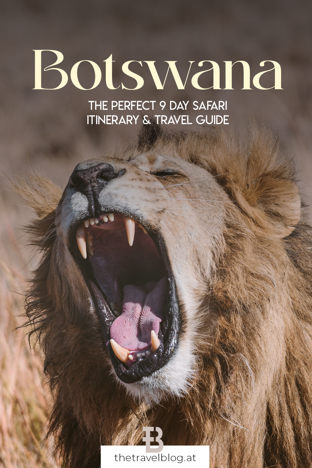 Botswana travel guide: An expert guide for a 9 day safari in Botswana