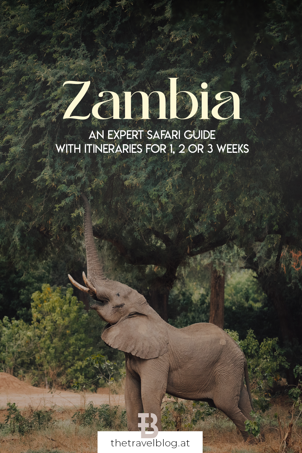 Zambia Safari Travel Guide and Itinerary covering Lusaka, Livingstone with Victoria Falls, Lower Zambezi National Park, South Luangwa National Park, Kafue National Park and Busanga Plains