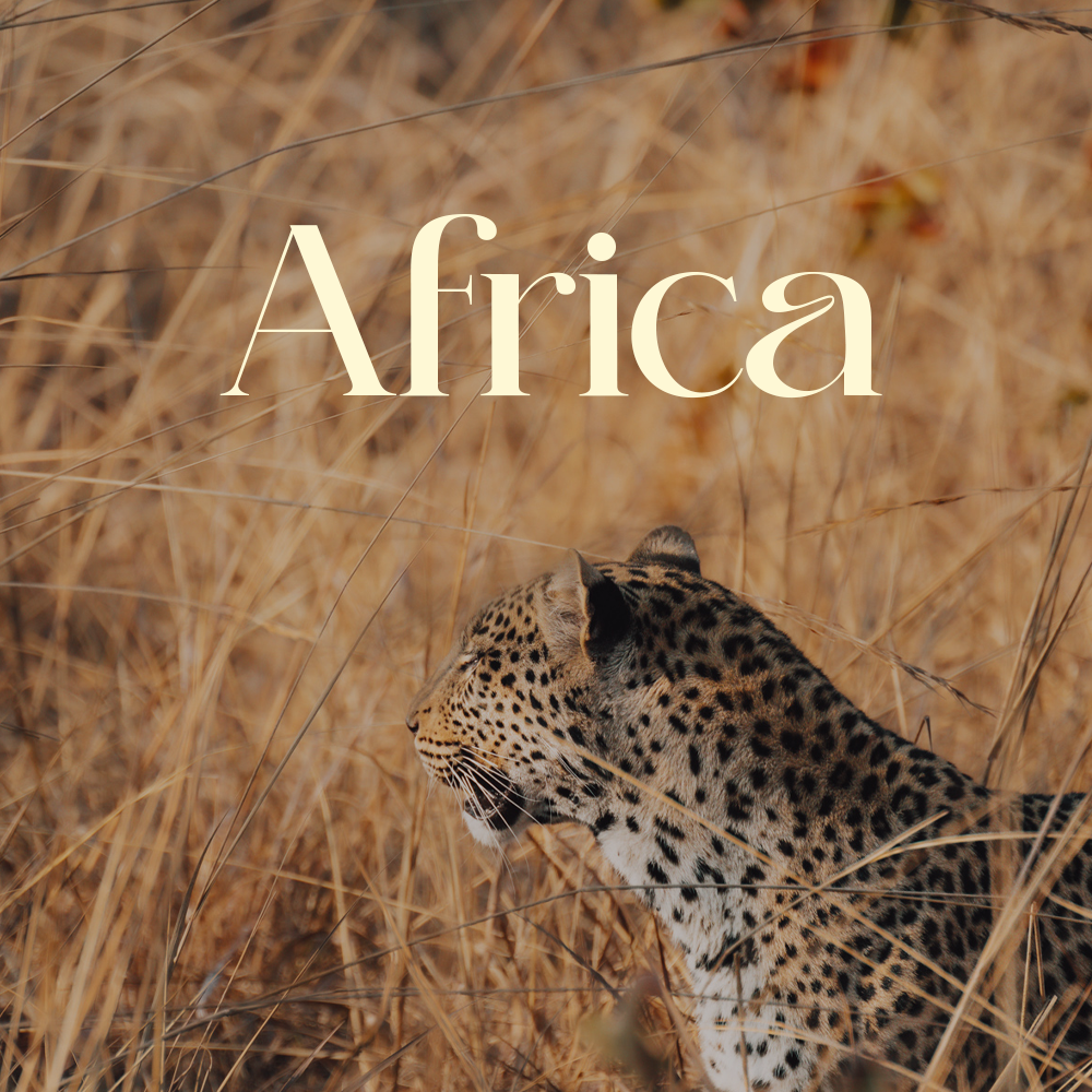 Africa Category in Destination Overview at thetravelblog.at