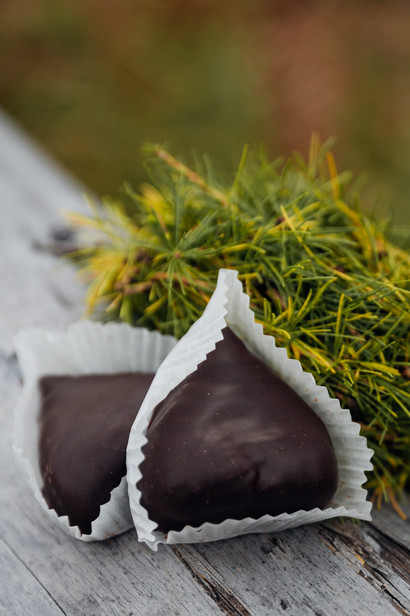 Chestnut chocolate Praline from Lana South Tyrol