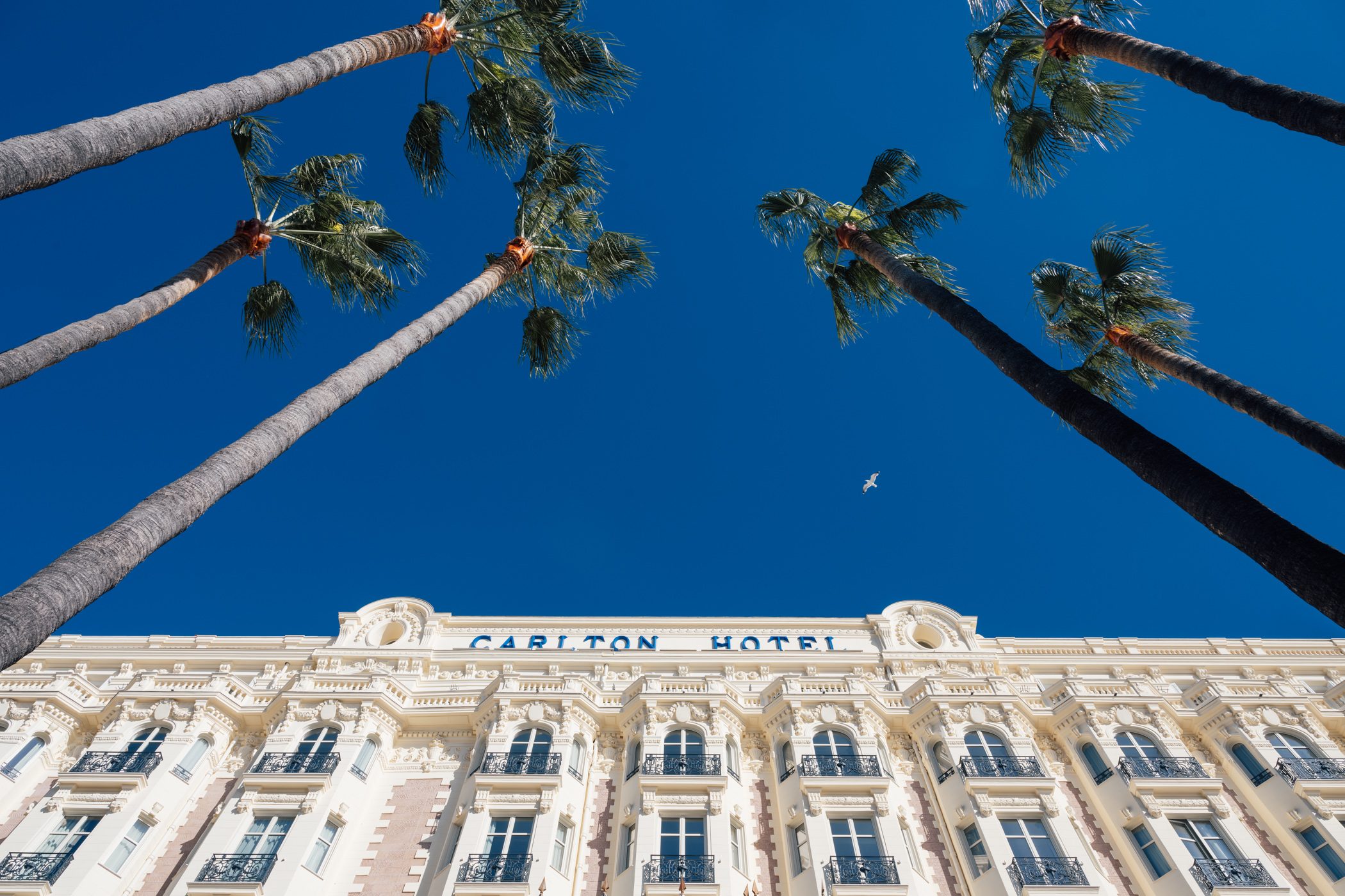 Carlton Cannes Hotel, Croisette - part of our Winter at the Côte d‘Azur in France: A travel guide