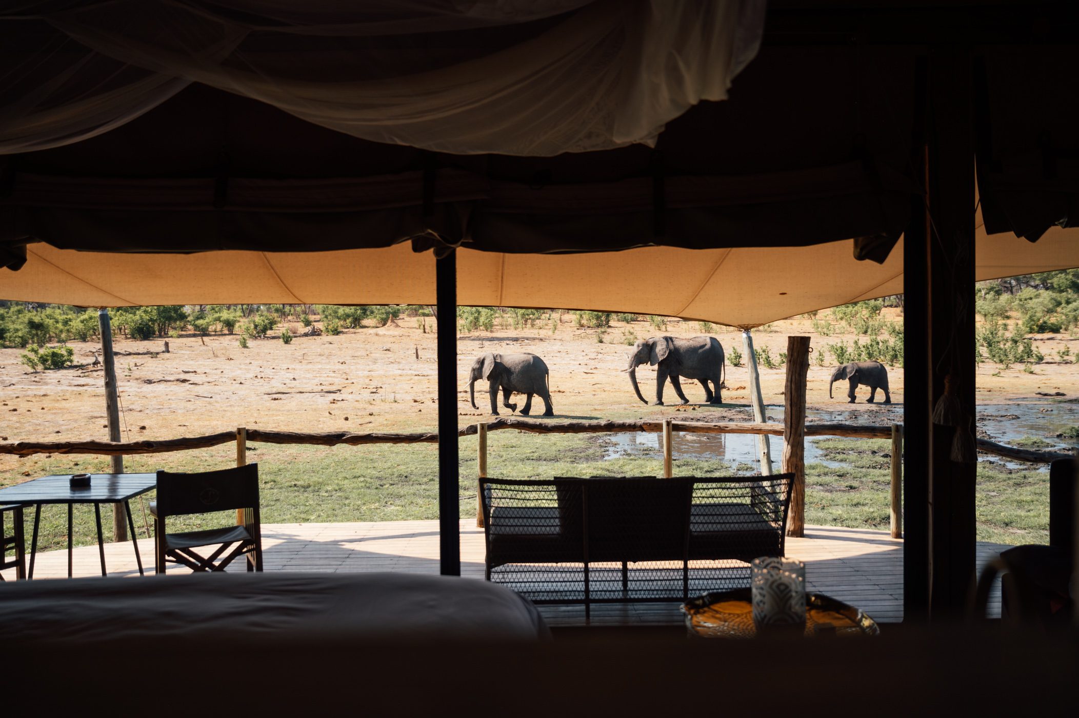 On safari in Hwange National Park in Zimbabwe with African Bush Camps at Somalisa Camp and Somalisa Acacia