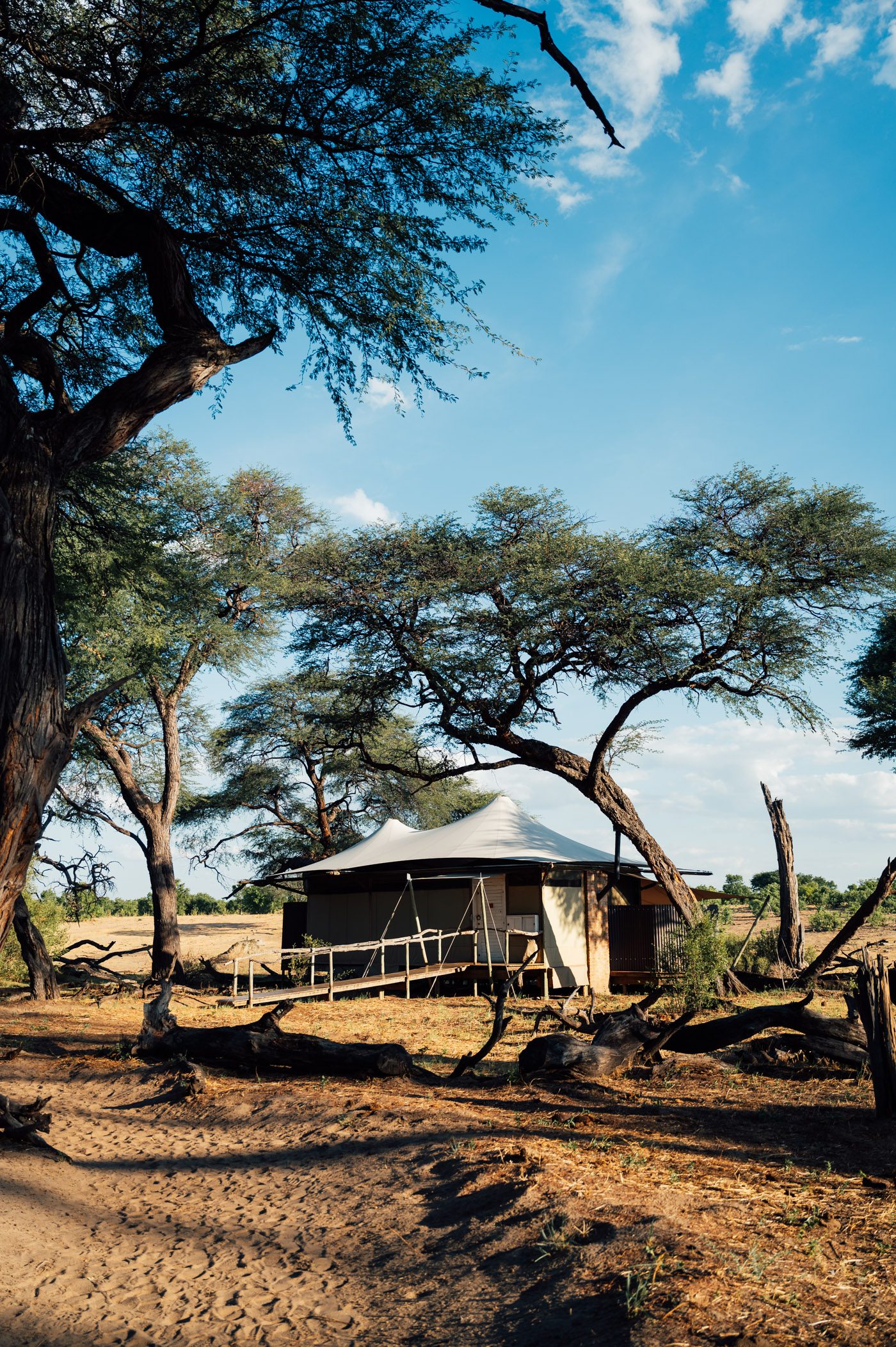 On safari in Hwange National Park in Zimbabwe with African Bush Camps at Somalisa Camp and Somalisa Acacia