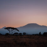 Sunset in Amboseli National Park in Kenya with Mount Kilimanjaro in the background and the silhouette of an Acacia Tortilis tree in the foreground