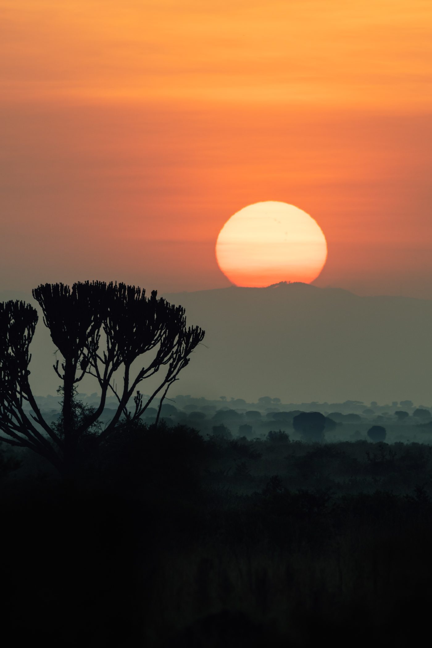 Sunrise in the Kasenyi sector at Queen Elizabeth National Park, Uganda