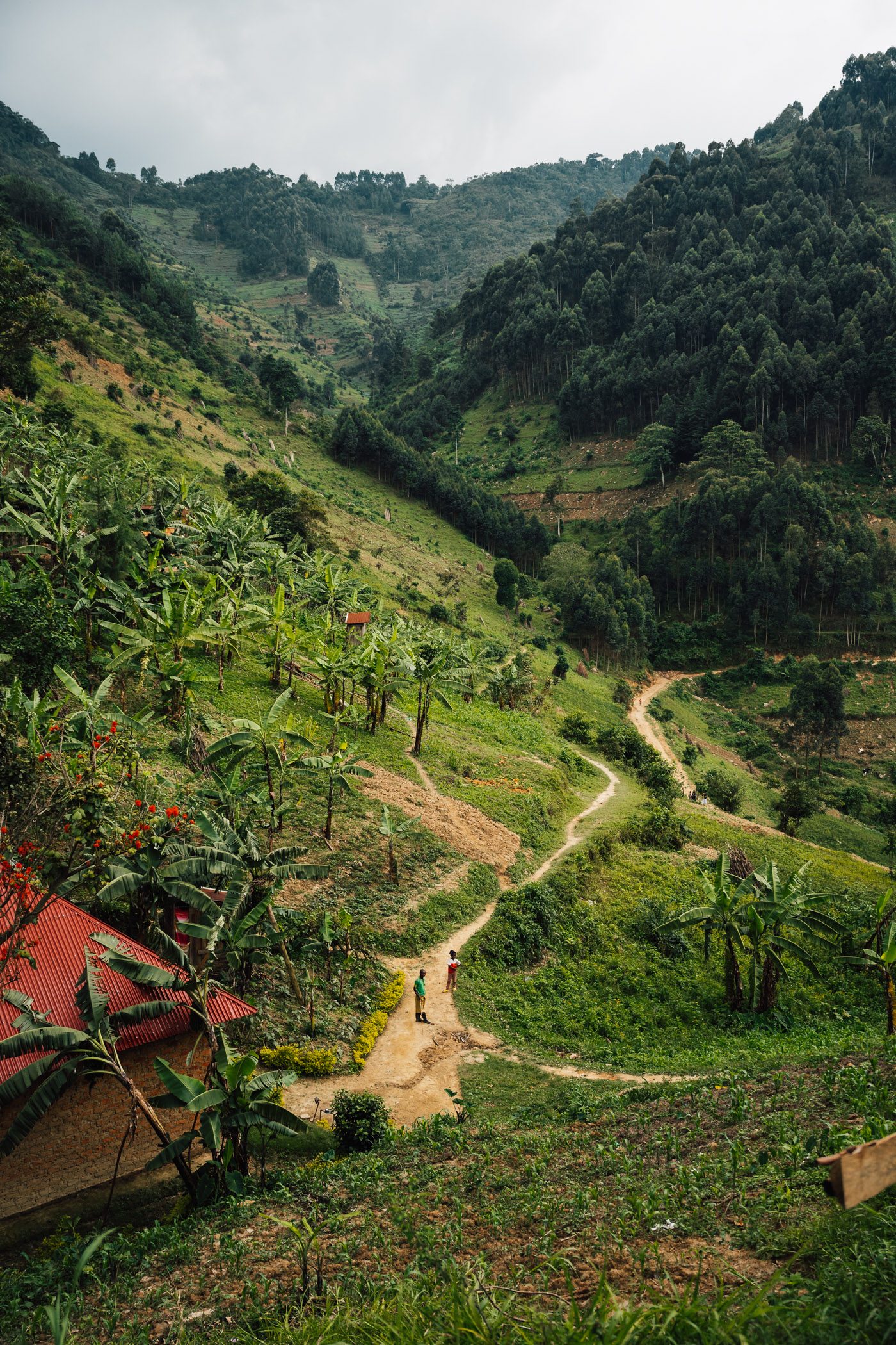Road and settlement next to Bwindi Impenetrable Forest in Uganda