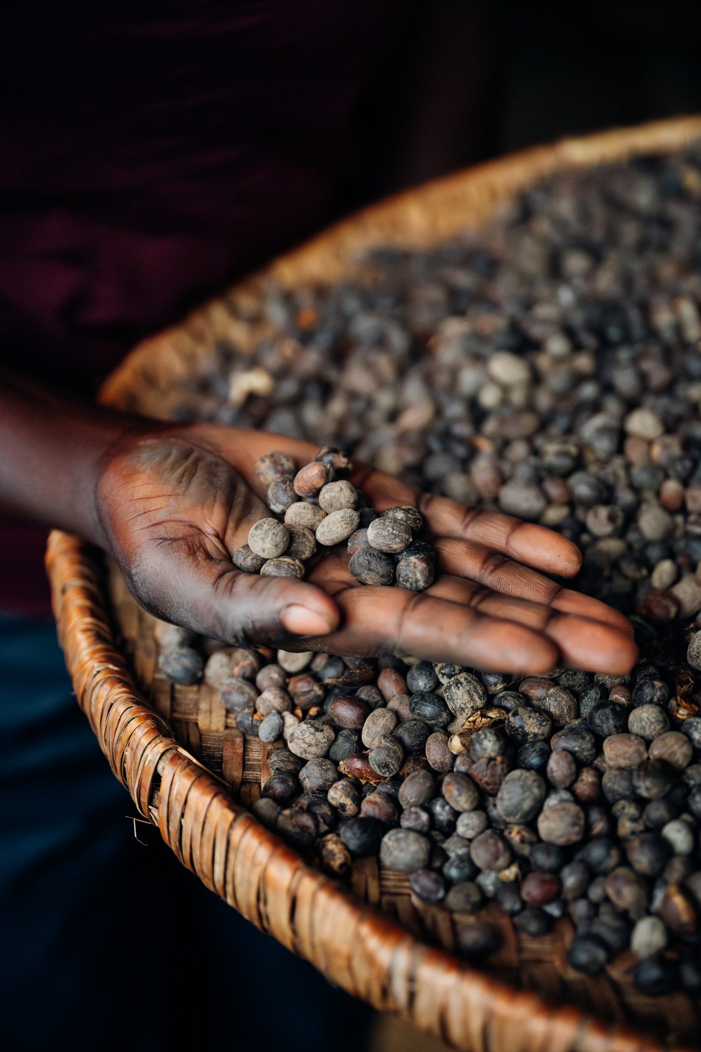 Coffee making at Bigodi Community Tourism Experience in Uganda