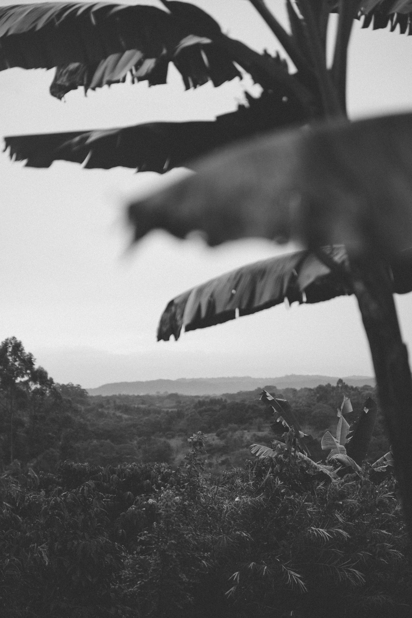 Bigodi village Uganda