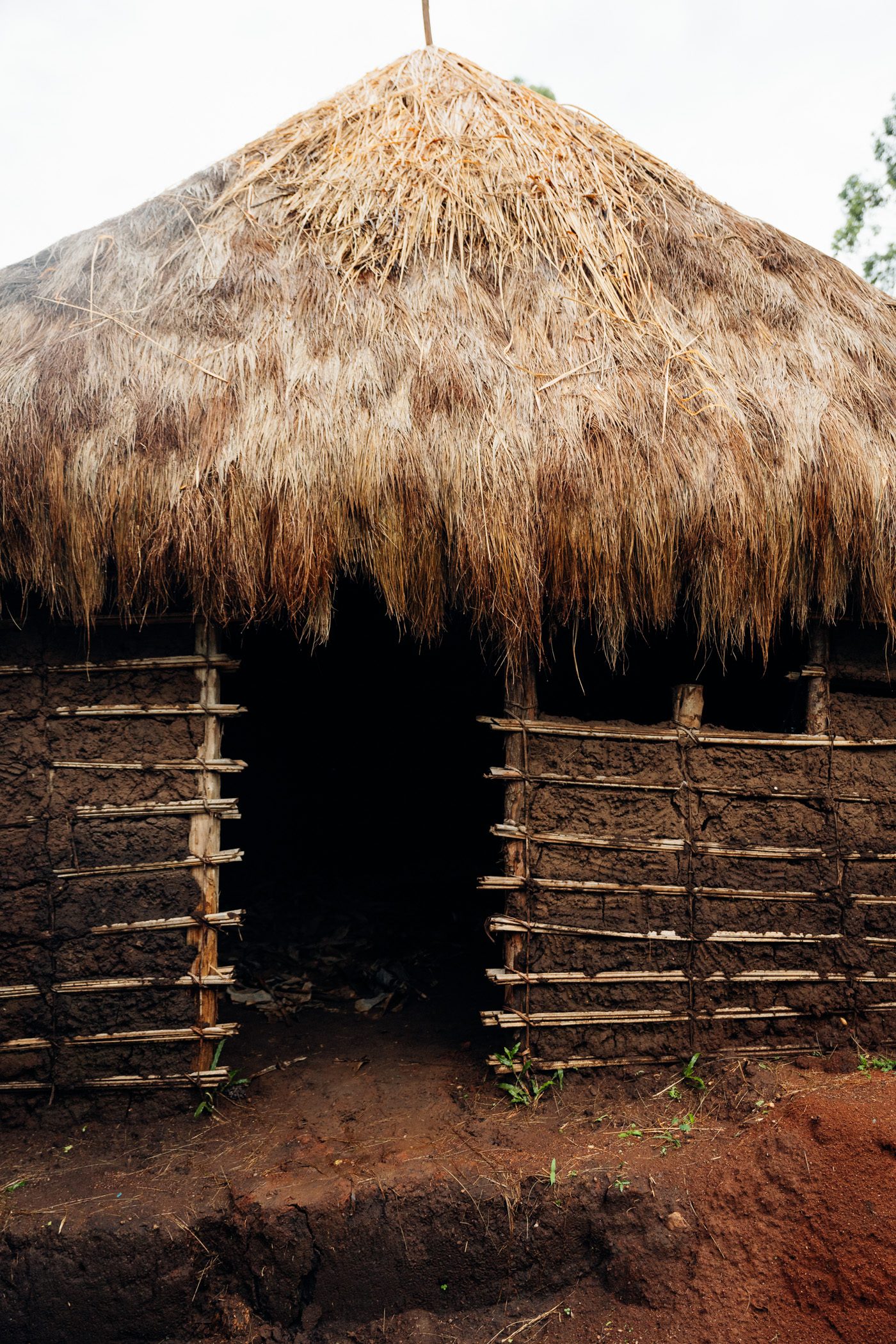Traditional thatched hut in the village of Bigodi as seen during the Bigodi Community Tourism Experience in Uganda