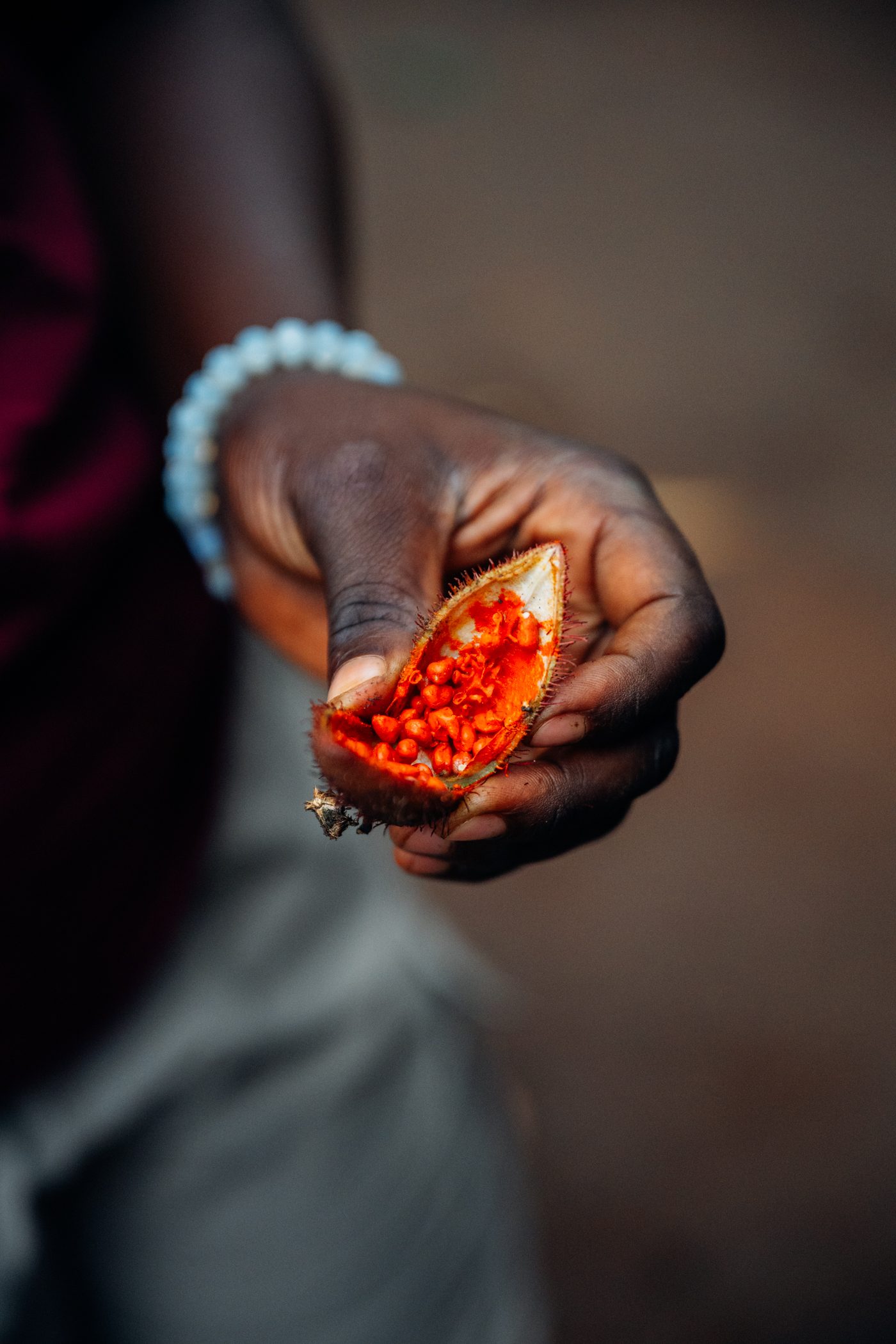 Achiote seeds are used to dye the weaving products - as seen during the Bigodi Community Tourism Experience in Uganda