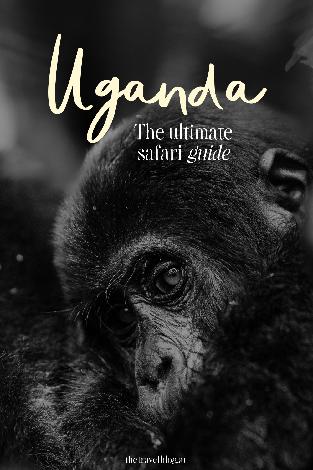 Uganda: The ultimate travel and safari guide by thetravelblog.at