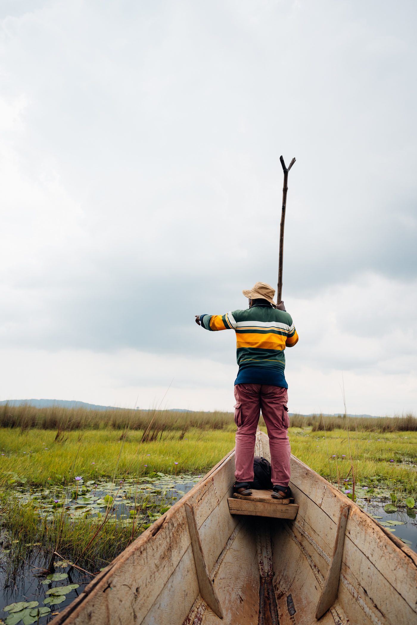 Mbamba swamp boat cruise in Entebbe in Uganda