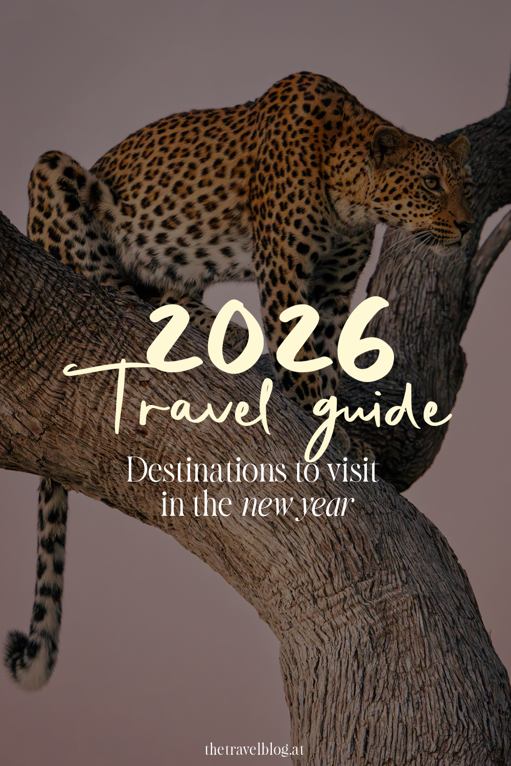 Where to travel in 2026: Travel Guide for the best destinations in the new year by thetravelblog.at
