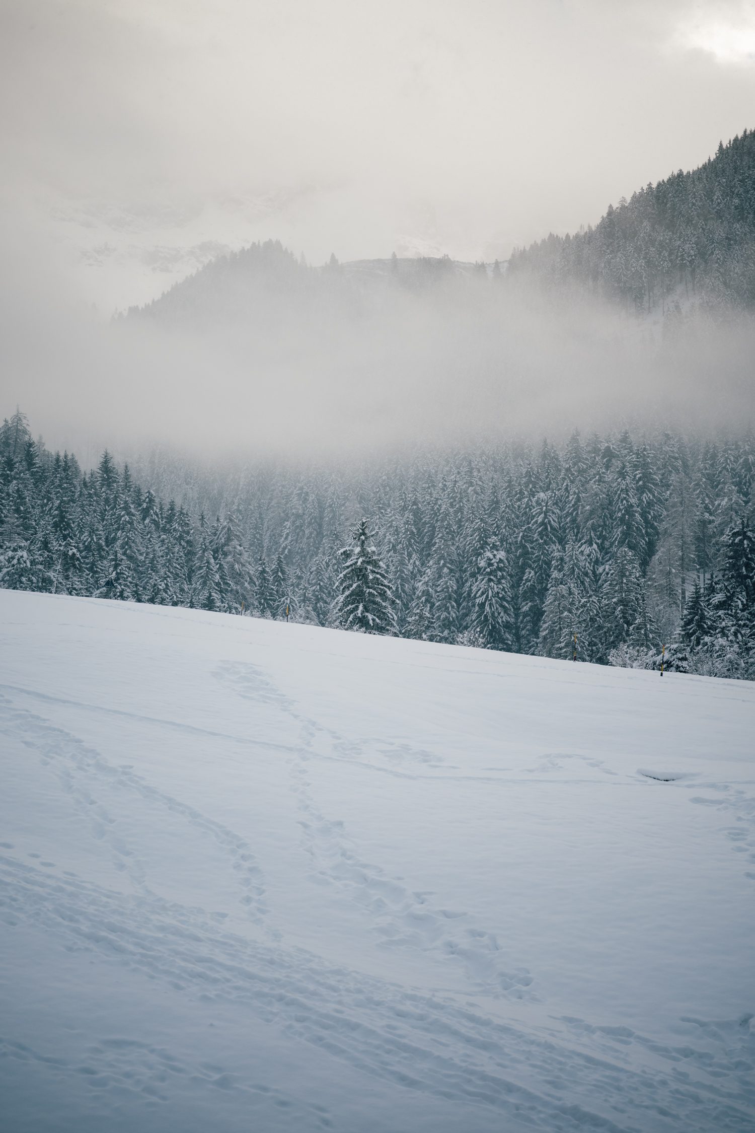 Cyprianerhof Dolomit Resort, South Tyrol, Italy