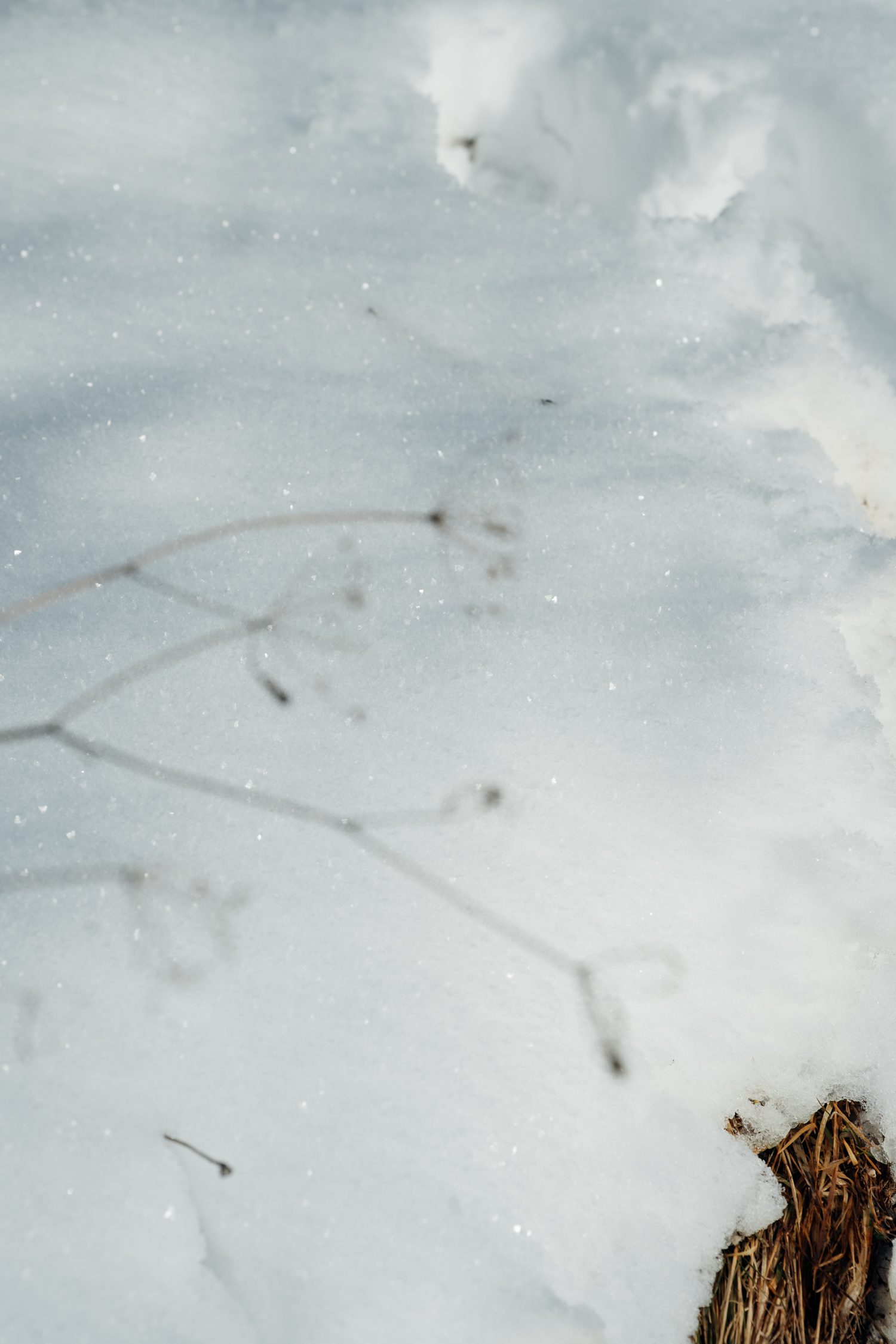 Cyprianerhof Dolomit Resort, South Tyrol, Italy