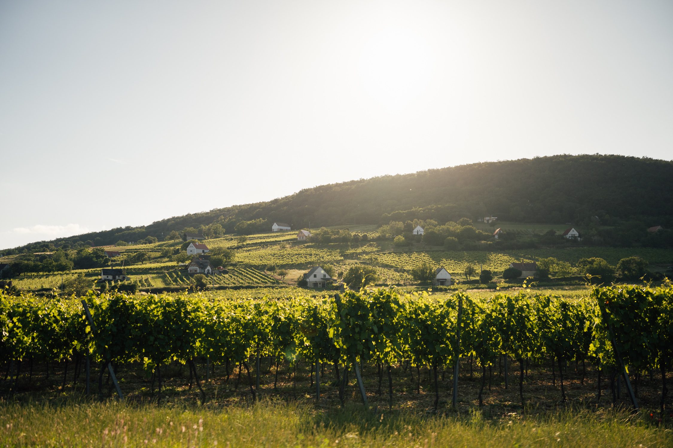 Balaton, Hungary