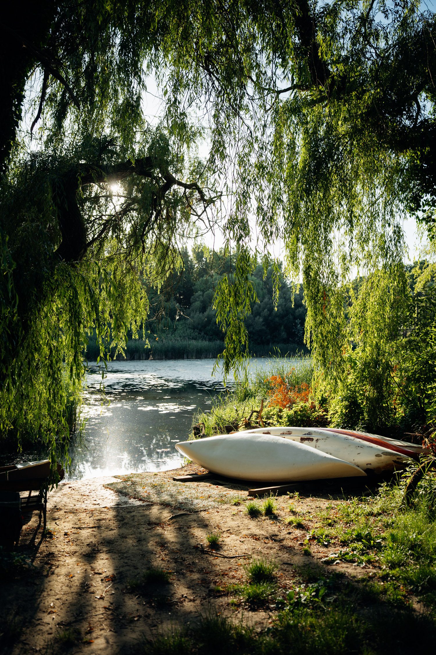 Canoe tour at Kis-Balaton, Lake Balaton, Hungary