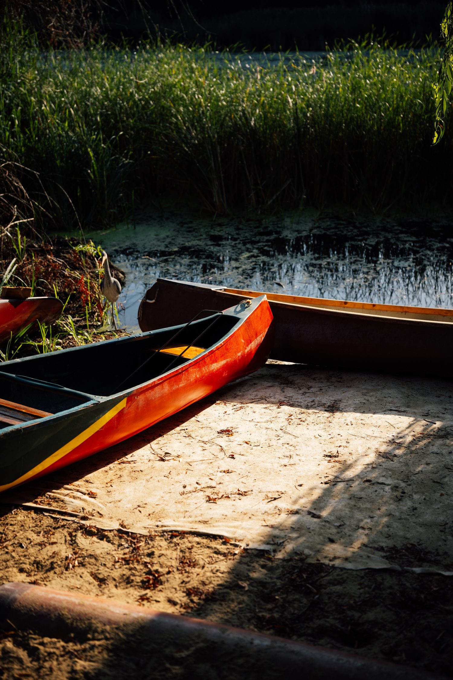 Canoe tour at Kis-Balaton, Lake Balaton, Hungary
