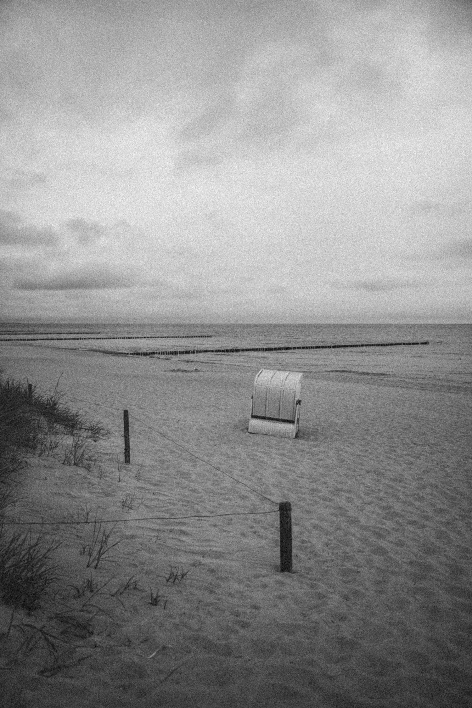 Horizonte Zingst environmental photography festival in Germany