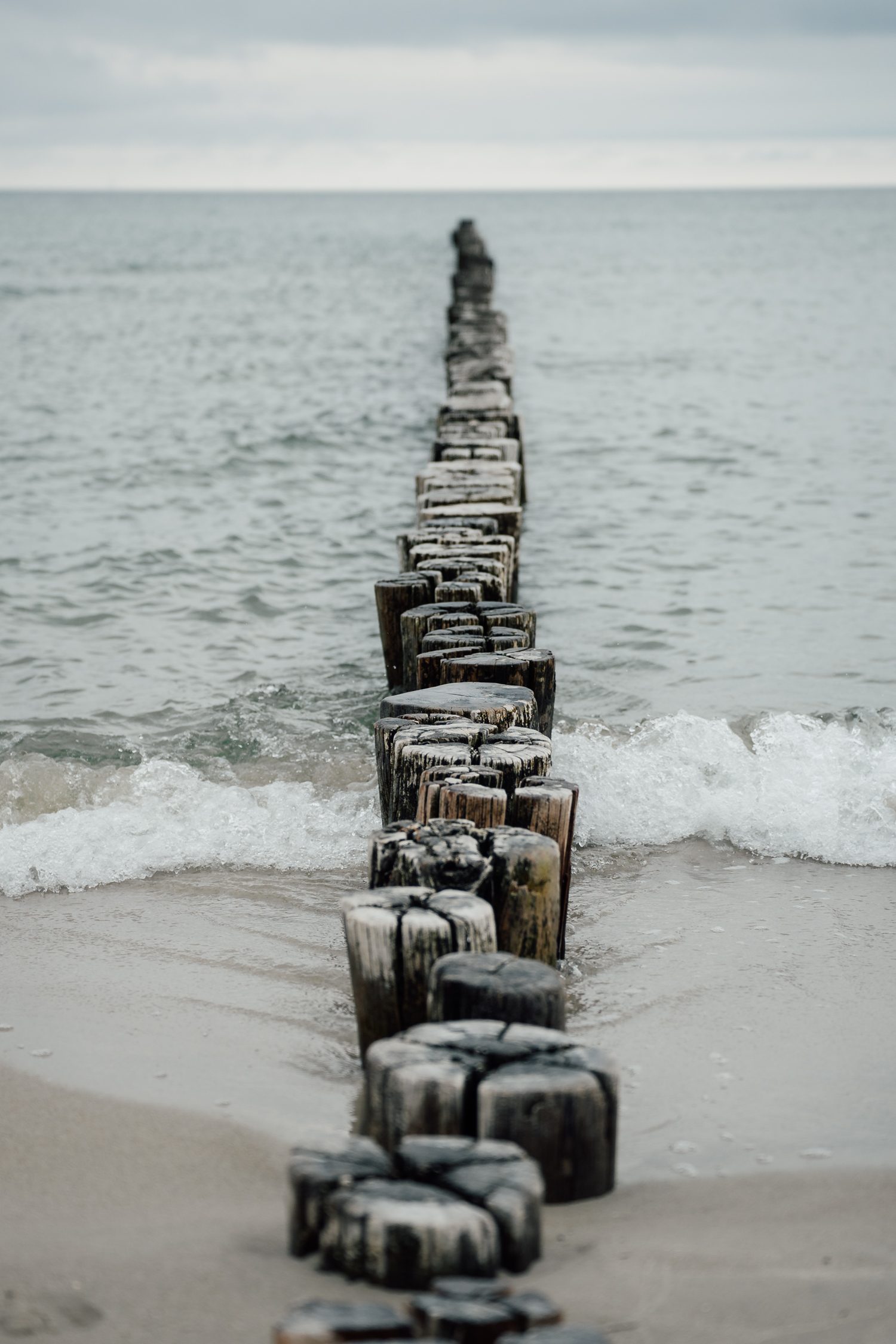 Horizonte Zingst environmental photography festival in Germany
