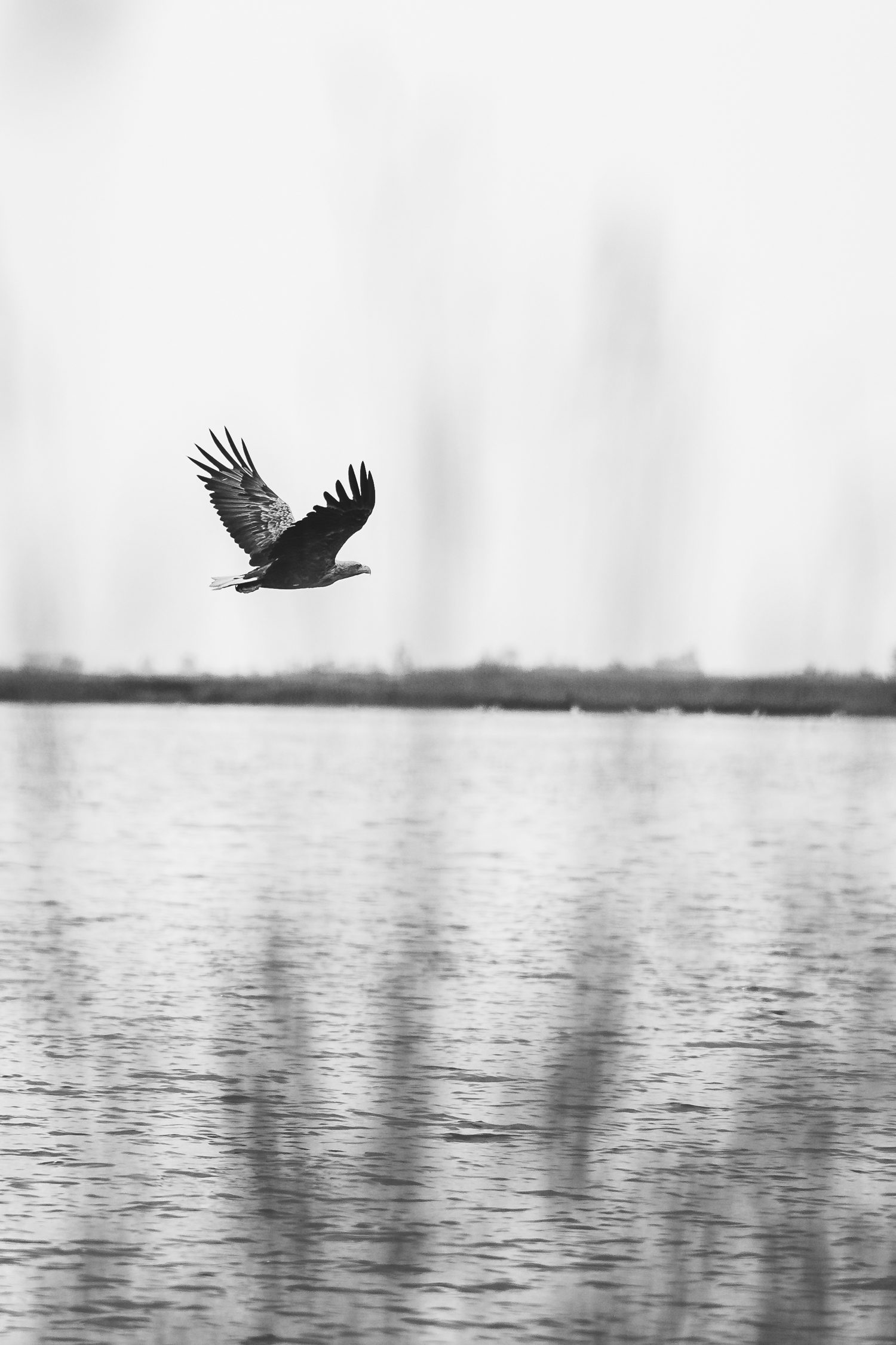 Horizonte Zingst environmental photography festival in Germany
