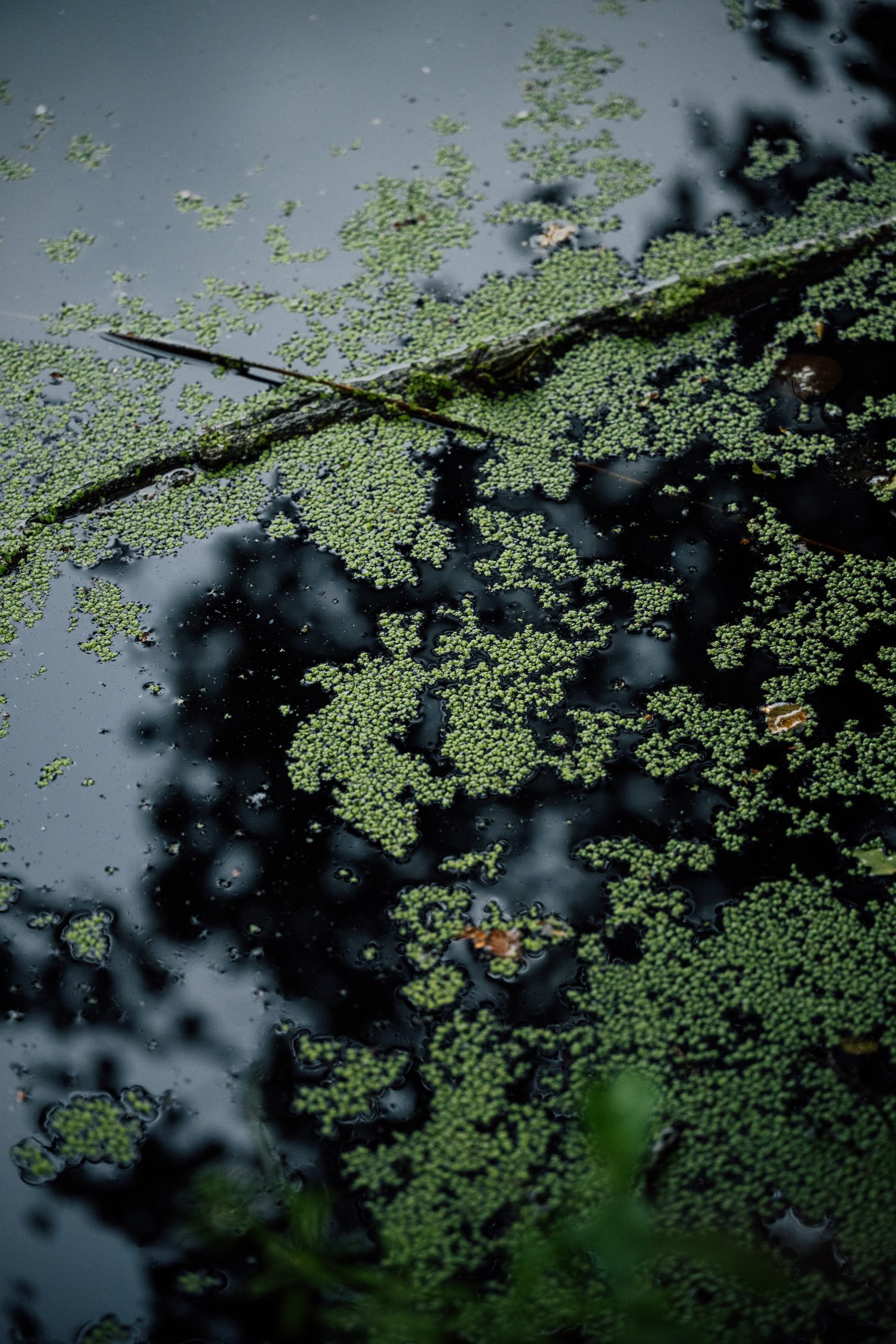 Horizonte Zingst environmental photography festival in Germany