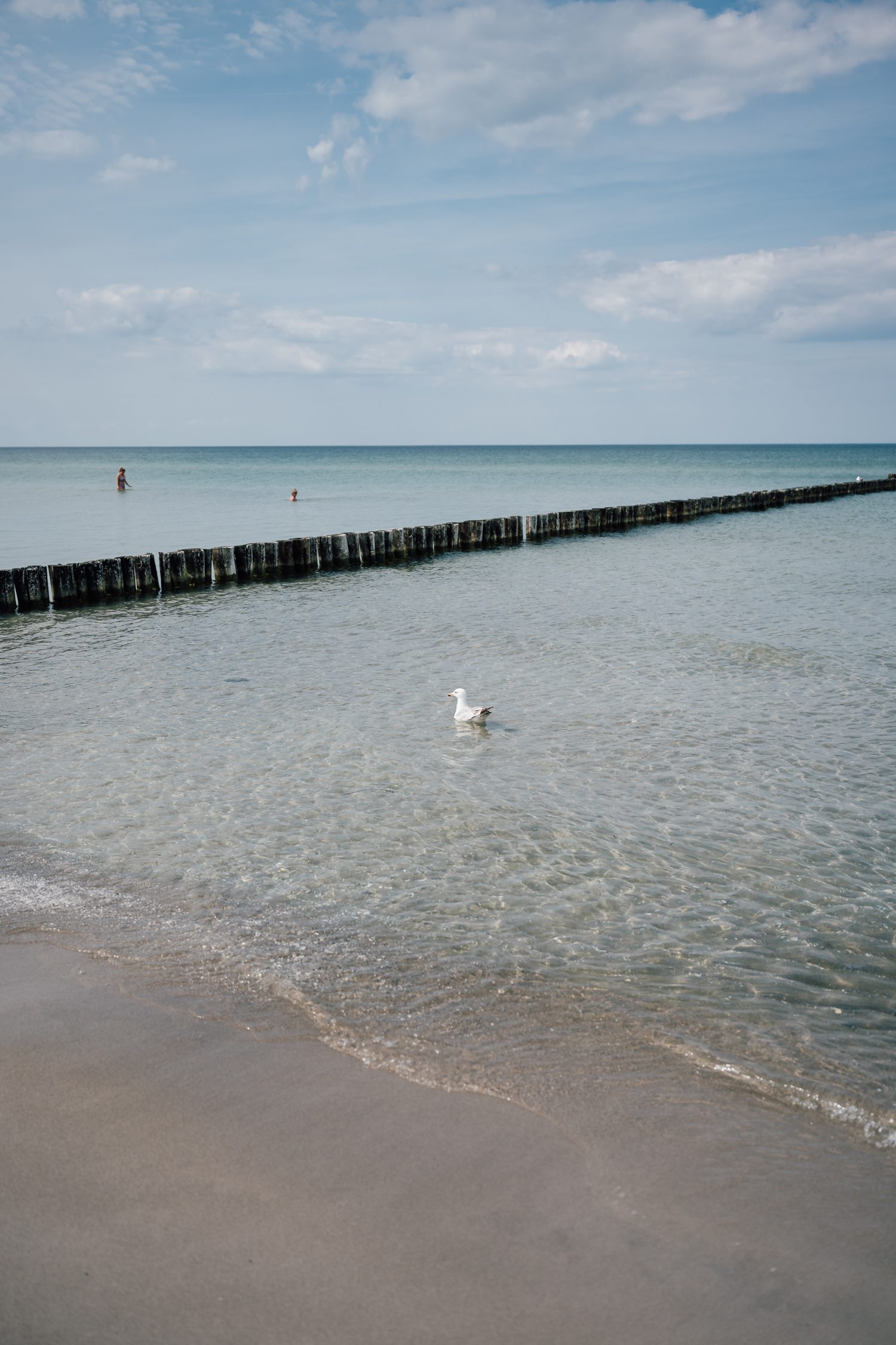 Zingst beach
