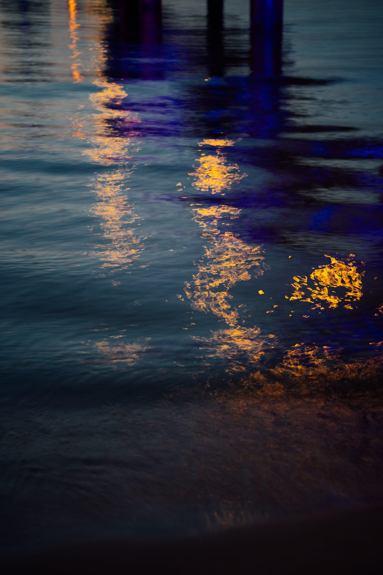 Horizonte Zingst environmental photography festival in Germany