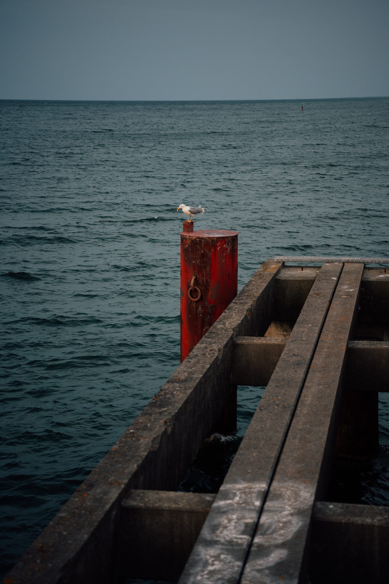 Zingst beach