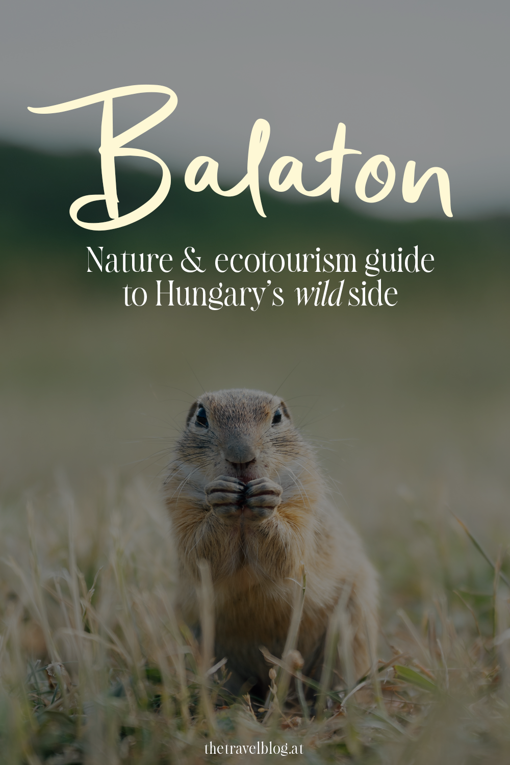 Travel guide for nature & ecotourism trip to Balaton Hungary by thetravelblog.at