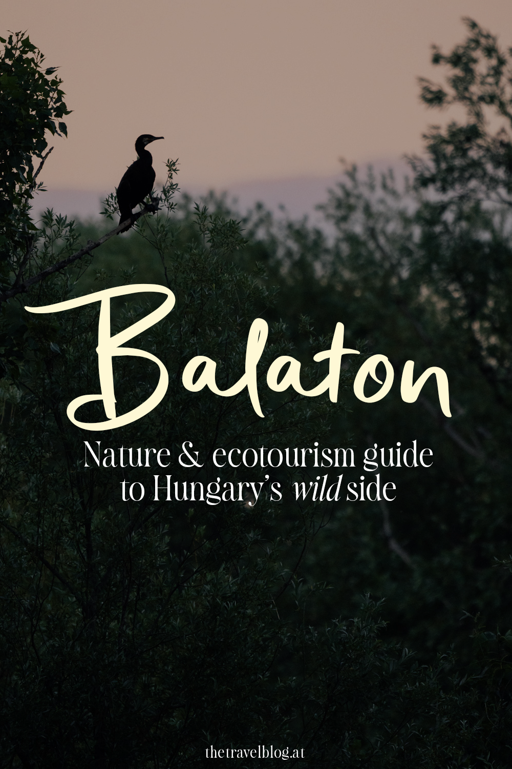 Travel guide for nature & ecotourism trip to Balaton Hungary by thetravelblog.at