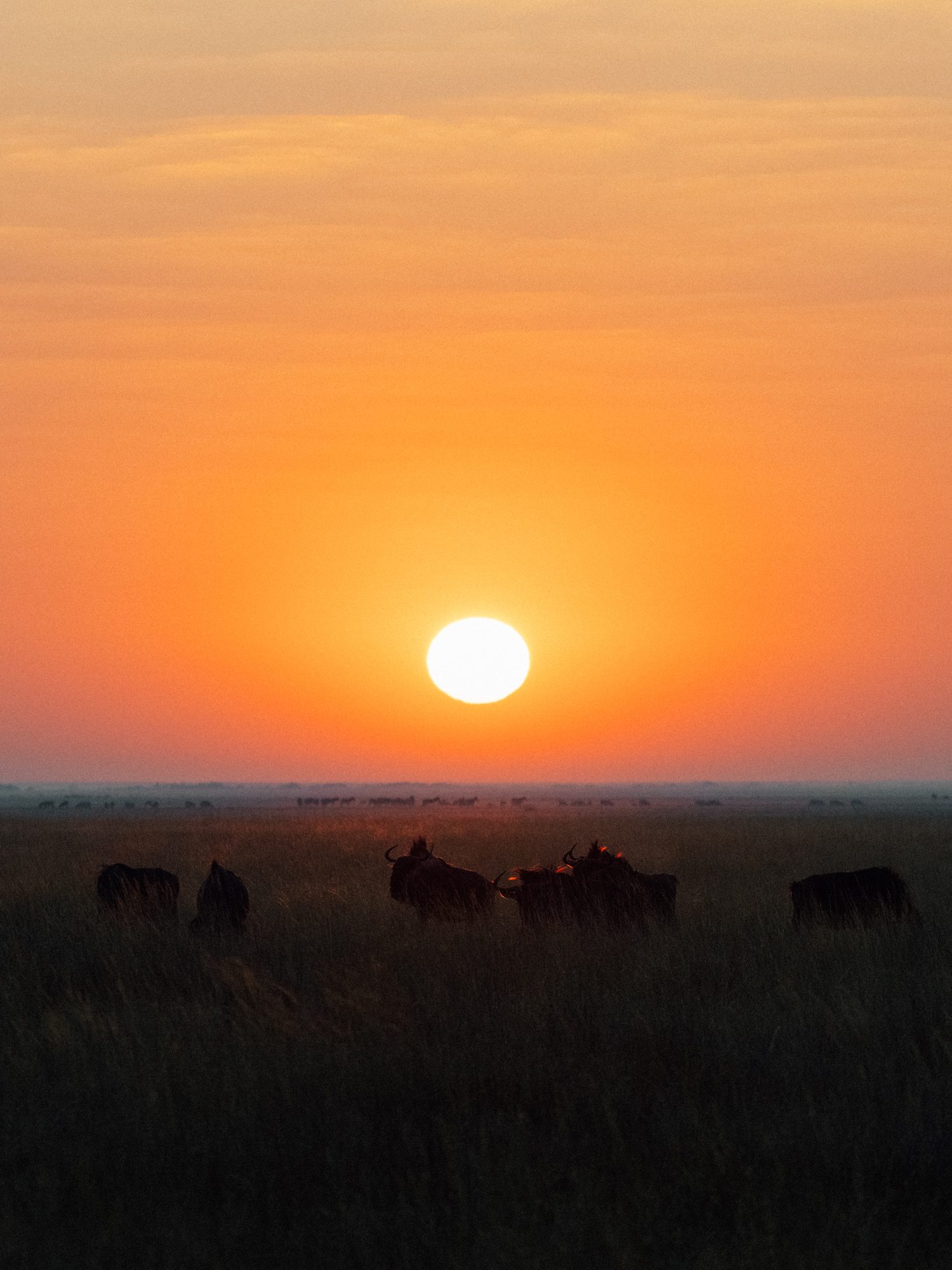 Liuwa Plain National Park Zambia