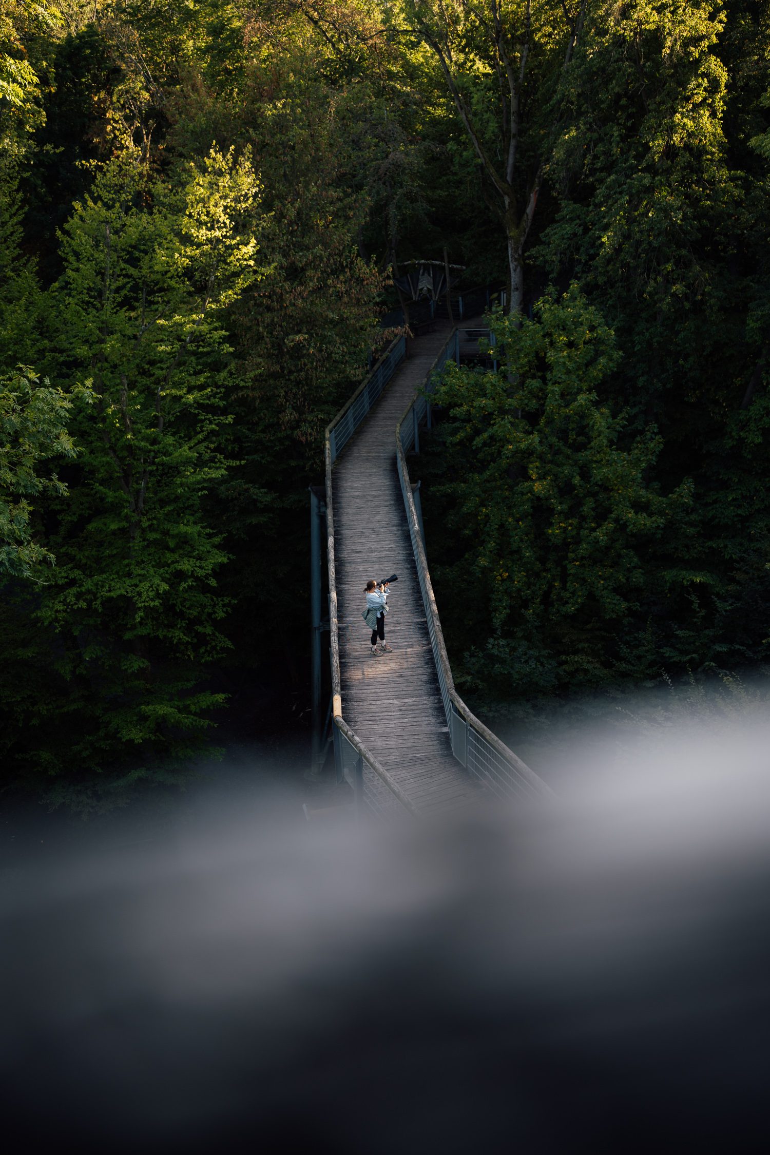 Baumkronenpfad at Hainich National Park in Thuringia Germany