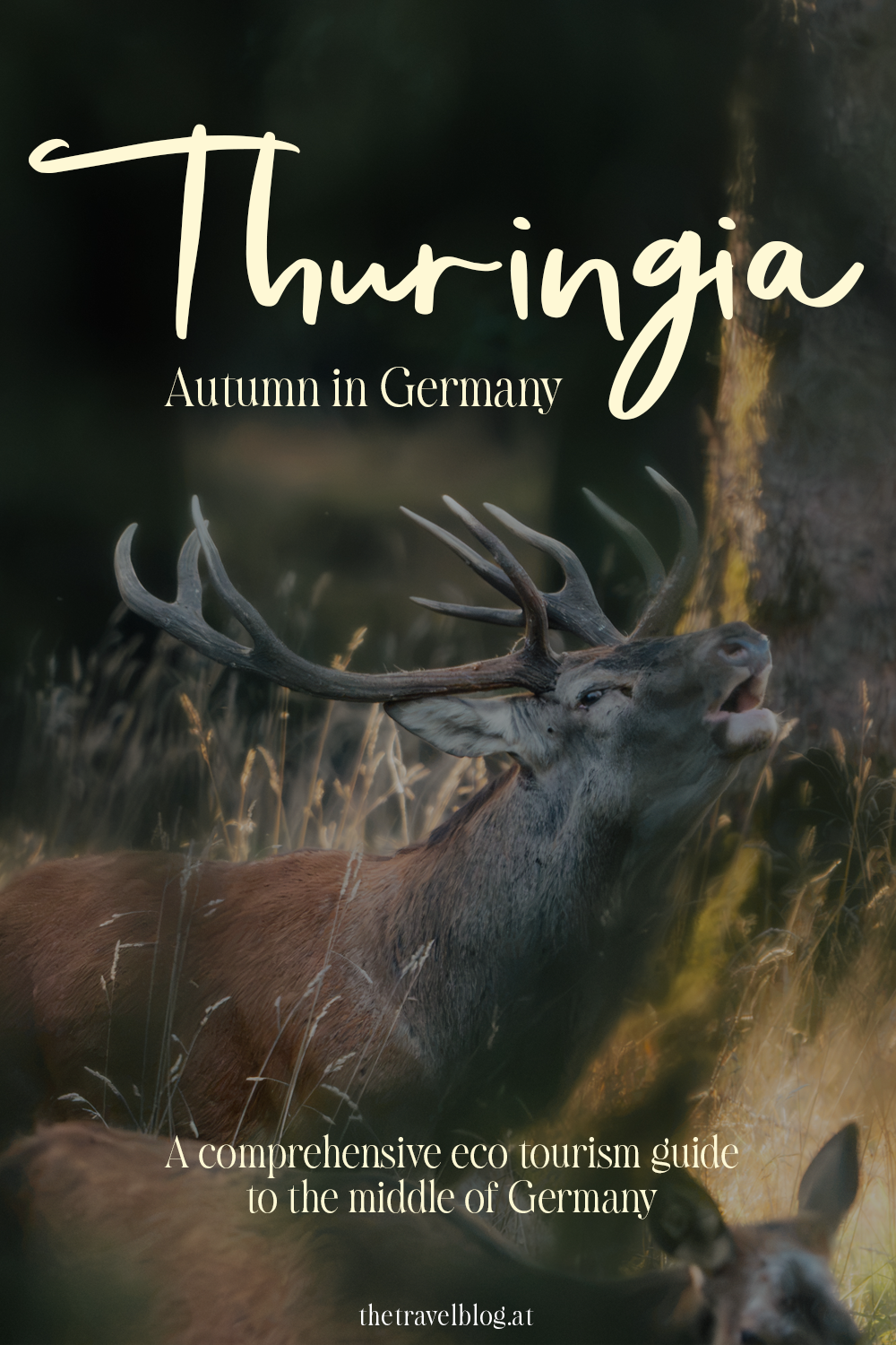 Autumn travel guide for Thuringia Germany by thetravelblog.at