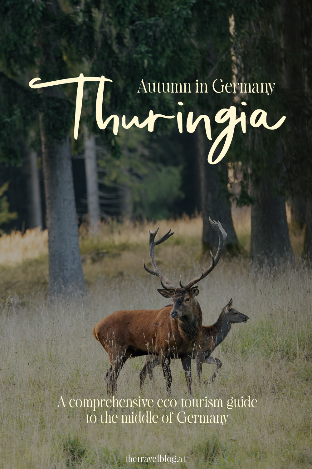 Autumn travel guide for Thuringia Germany by thetravelblog.at