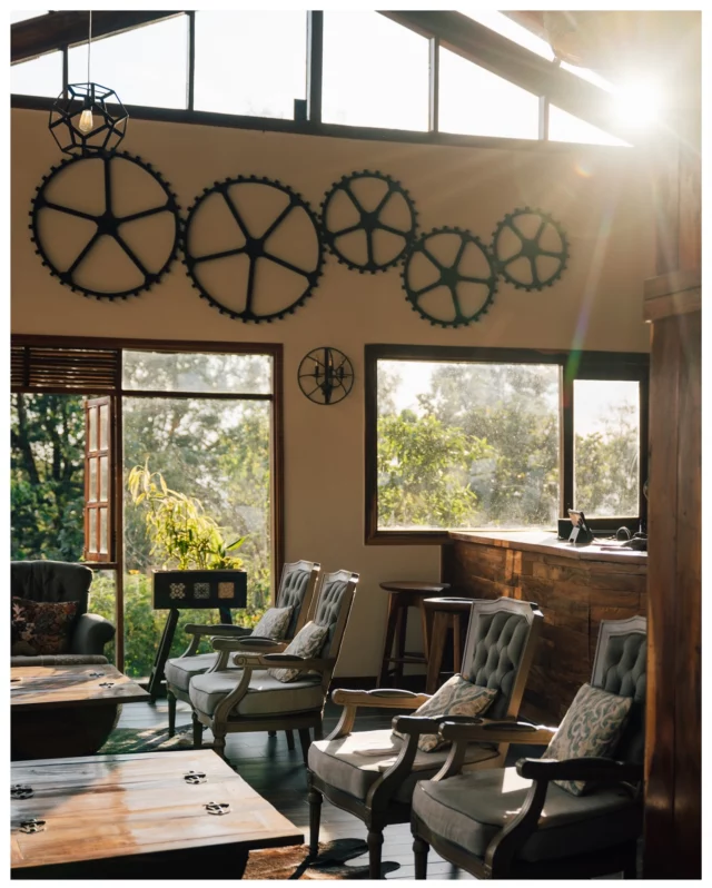 This is Nkuringo Bwindi Gorilla Lodge, Uganda 🦍🇺🇬 
(@nkuringobwindilodge selected by @pintoafrica | Advertisement)  Sitting perched on a ridge with breathtaking views over the misty Virunga Mountains and the ancient Bwindi Impenetrable Forest, this is not just a luxury lodge, but also the starting point of our gorilla trek.  What nobody told us before: Nkuringo is the most physically challenging sector to do the gorilla treks in Bwindi 😅  From the starting point it’s a steep descend down into the valley through vast fields of tea. You’ll spend the first 1-2 hours of the trek climbing downhill, before you even enter the forest and start the real trek. All knowing that you have to ascend all of the before again after the trek 🫠.  In total our gorilla trek lasted almost 6 hours, so rest assured we tested the comfortable beds in the lodge to the maximum upon our return. And they passed the test with flying colors ☺️  Would we do it again? 100% yes!  3 Facts about Nkuringo Bwindi Gorilla Lodge:  🦍 Panoramic Views: We couldn’t take our eyes off the views. The emerald canopy of Bwindi Impenetrable Forest and the silhouettes of the Virunga mountains make for one of the most stunning locations.  🦍 Gorilla Trekking Access: Even though the trek is physically demanding the access to the trailhead is very close. Its just a few minutes to reach the starting point of the trek, so the lodge provides very easy access to some of the most exclusive gorilla trekking experiences in Uganda.  🦍 Eco-conscious Luxury: The lodge is built out of local material, using locally sourced papyrus and wooden floors with a touch of volcanic rock. They also use corrugated iron sheets for rainwater catchment, which is the primary water source of the lodge.  This was our final stop of the road trip in Uganda—and probably our absolute highlight. Encountering gorillas in the wild is an experience that eludes any description. We came back sweaty and tired, with heavy legs and muddy shoes. But our souls were somewhere in the clouds of the magical rainforest 🌳☁️