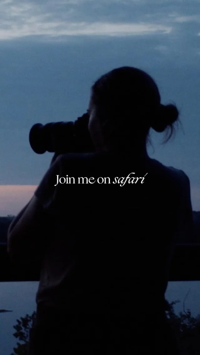 𝙹𝚘𝚒𝚗 𝚖𝚎 𝚘𝚗 𝚜𝚊𝚏𝚊𝚛𝚒  This is more than just a simple invitation.
It’s a sign to set an intention.
The intention to go on safari with a purpose.  A safari, when done responsibly, can act as a bridge connecting the awe of discovery with the responsibility of conservation.
Ethical safaris create vital funding for conservation, support local communities, and ensure that wildlife is worth more alive than lost to poaching or habitat destruction.  When we choose to travel with awareness, we become part of a system that sustains rather than exploits.
The wildlife we will admire up close is the essence of an intricate, fragile system that sustains life as we know it.  Now, we find ourselves at a pivotal moment in history, where the survival of countless species depends not on their own resilience, but on our willingness to protect them.  Therefore this film acts as an invitation to experience nature in its purest form—yet, not just as a spectator, but as a conscious participant. A custodian, an advocate. Because true conservation begins with awareness. And awareness begins with seeing and witnessing the beauty of nature with our own eyes.  So, I leave you with this: will you stand as a guardian of the wild?
Join me on safari, not just as an observer but as a voice for our world.  Let’s redefine what it means to explore.
Let’s travel with purpose.
Let’s ensure that the next generation can stand where we stand and still hear and feel the roar of a lion deep under their skin.  Because conservation is not just a cause—it’s a responsibility.  Watch, feel, and if it moves you, share it.
Join me on safari.  ______  Directed by @martinatrepczyk
Voiceover text by @eswirdmesser
Music: Hans Johnson - Rise up
______  #safari #africa #africatravel #safaritravel