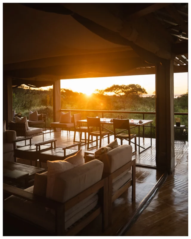Day breaks at Asilia Dunia Camp, Serengeti. Tanzania 🇹🇿 
(Safari planned by Tanzania specialists @unikat.afrika in collaboration with @couchsafaripodcast | Advertisement).  Staying here was a dream come true ✨ Since many years I wanted to visit Dunia camp, Tanzania‘s only fully women-led safari camp.  Every staff member here is female, from the guides to the night guards—it’s all women. In an industry that is predominantly male this is unprecedented 🤩  Most of us would agree that we wish it wasn’t necessary to start a camp like this, that it would just be standard practice to hire women. But it still isn’t.  And that’s why @asiliaafrica‘s Dunia camp is a necessity rather than just a cool concept. It’s a stepping stone towards equality.  Thanks to @unikat.afrika for making this trip possible! If you ever plan a Tanzania trip, they are incredible partners with long standing expertise, that know the country inside out.  #asiliaafrica #duniacamp #serengeti #tanzania #safari