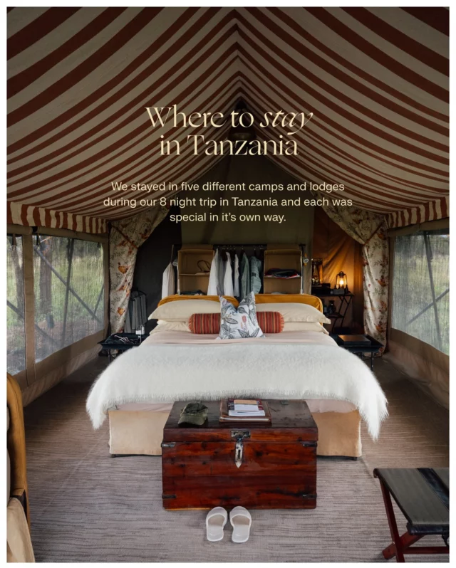 SAFARI GUIDE: Where to stay in Tanzania 🇹🇿 
(in partnership with @unikat.afrika & @couchsafaripodcast | Advertisement)  During our trip we stayed in five different camps and lodges for a total of 8 nights in Tanzania and each was special in it’s own way.  📍Save this 8-night Tanzania itinerary for your trip:
• 1 Night Gibbs Farm
• 1 Night Kisima Ngeda Camp
• 2 Nights Asilia Dunia Camp
• 2 Nights andBeyond Serengeti Under Canvas
• 2 Nights andBeyond Klein’s Camp  Gibbs Farm (@gibbs_farm)
Founded in the 1920s as a coffee plantation Gibb’s
Farm is one of Tanzania’s oldest lodges. It’s strategic location between Arusha and the Ngorongoro Crater makes it a perfect gateway to the Northern Circuit.  Kisima Ngeda Camp (@entara_lodges)
Kisima Ngeda Camp is a wonderful eco-lodge on the shores of Lake Eyasi It’s special for its unique cultural experiences with the Hadzabe and Datoga tribes, offering a rare glimpse into traditional hunter-gatherer and pastoralist lifestyles.  Asilia Dunia Camp (@asiliaafrica)
Dunia Camp is a luxury tented safari lodge in the central Serengeti, run entirely by women. It stands out for empowering Tanzanian women in all roles, from guiding to management, in a traditionally male-dominated industry.  andBeyond Serengeti Under Canvas (@andbeyondserengetiundercanvas)
This is a next-level luxury mobile tented camp that relocates five times a year to follow the Great Migration. It offers an intimate safari experience, featuring private butler service and excellent guiding.  andBeyond Klein’s Camp (@andbeyondkleinscamp) 
A secluded luxury lodge perched on the Kuka Hills in a private concession bordering the Serengeti. Its unique location allows for exclusive off-road safaris, night drives, and guided bush walks-activities not permitted in the National Park.  ⏳ Best time to go:
We went in April, which is the very low season during what’s called the long rains in East Africa. From June to October is the main season in Tanzania, but there’s also advantages of traveling during the calving season from January to March.  All the camps have been selected by @unikat.afrika who are Tanzania specialists with an extensive knowledge of the region.